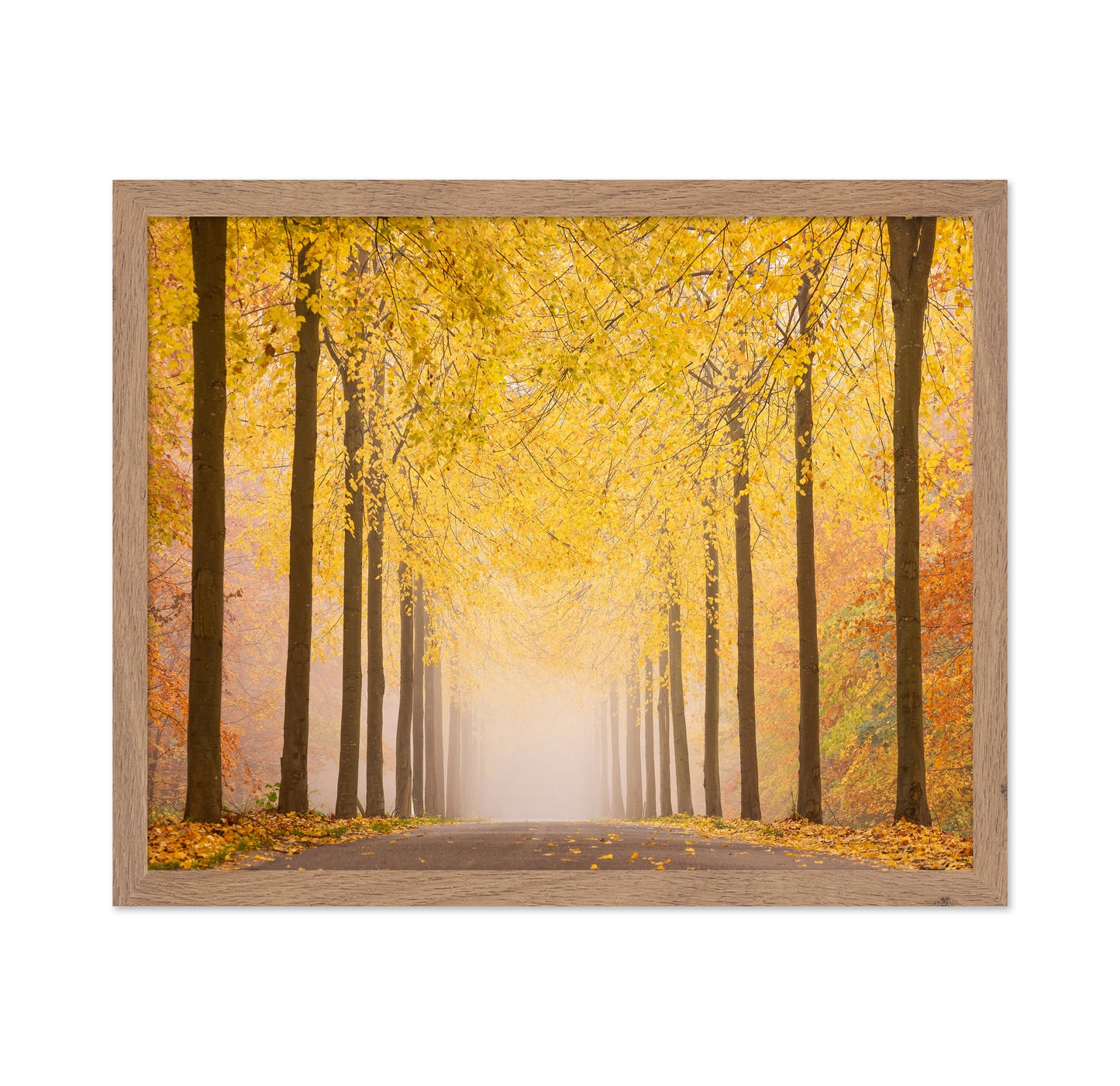 Autumn Road