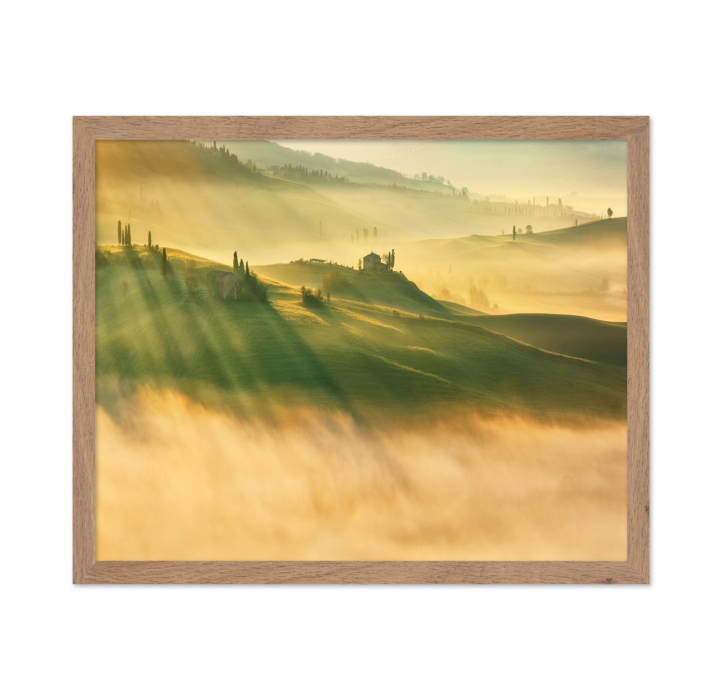 Foggy Valley