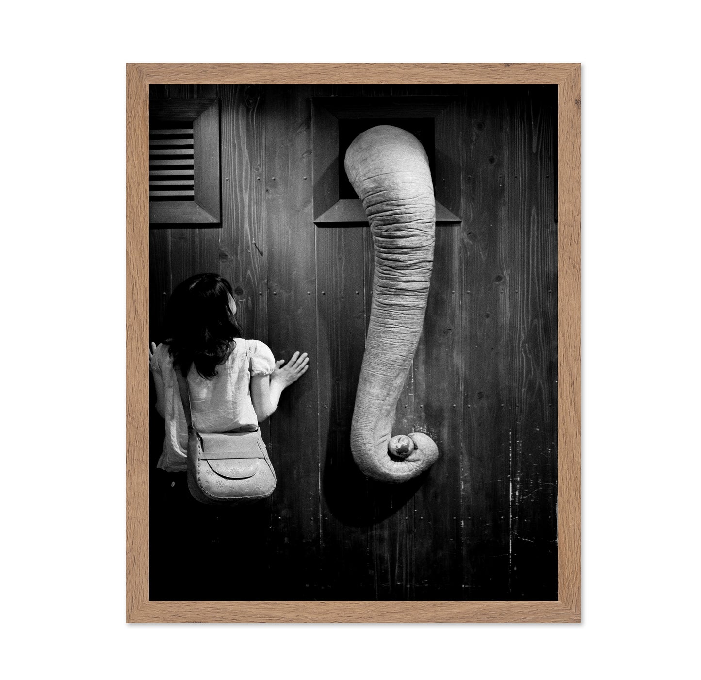 Elephant Trunk