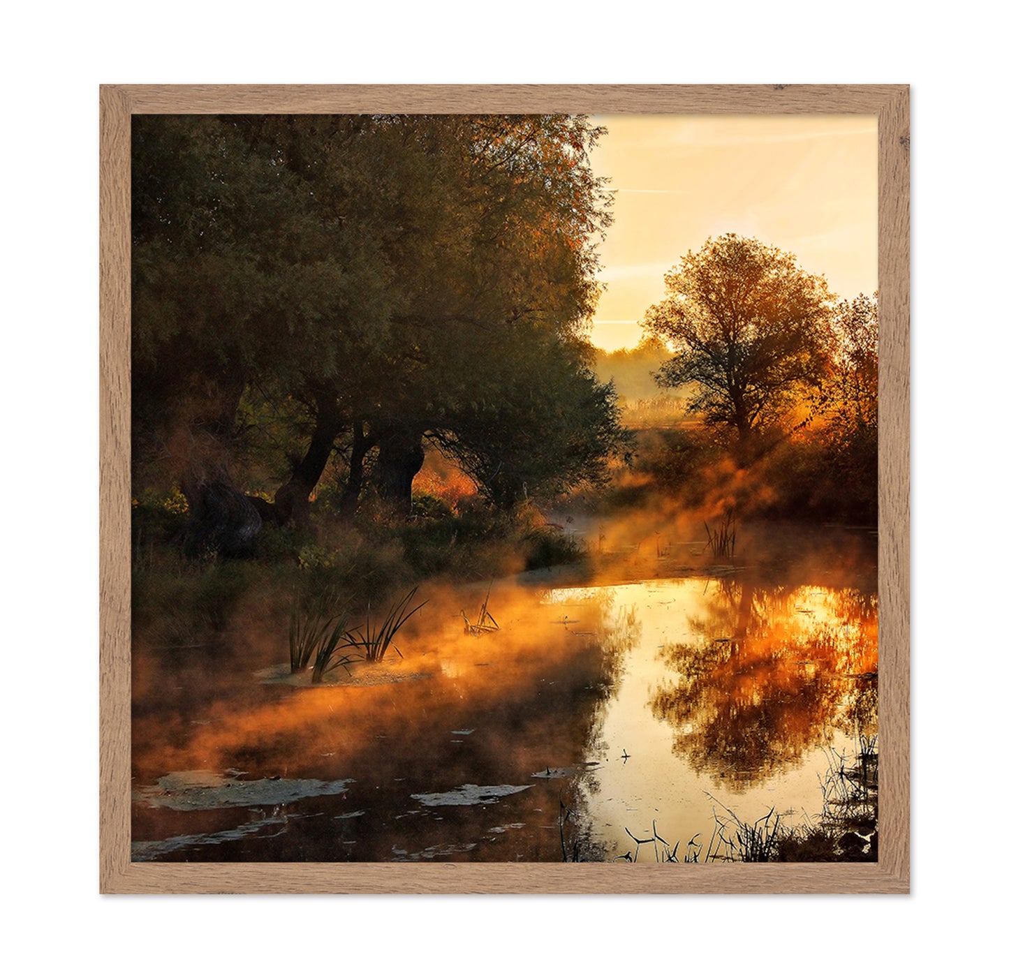 When Nature Paint With Light