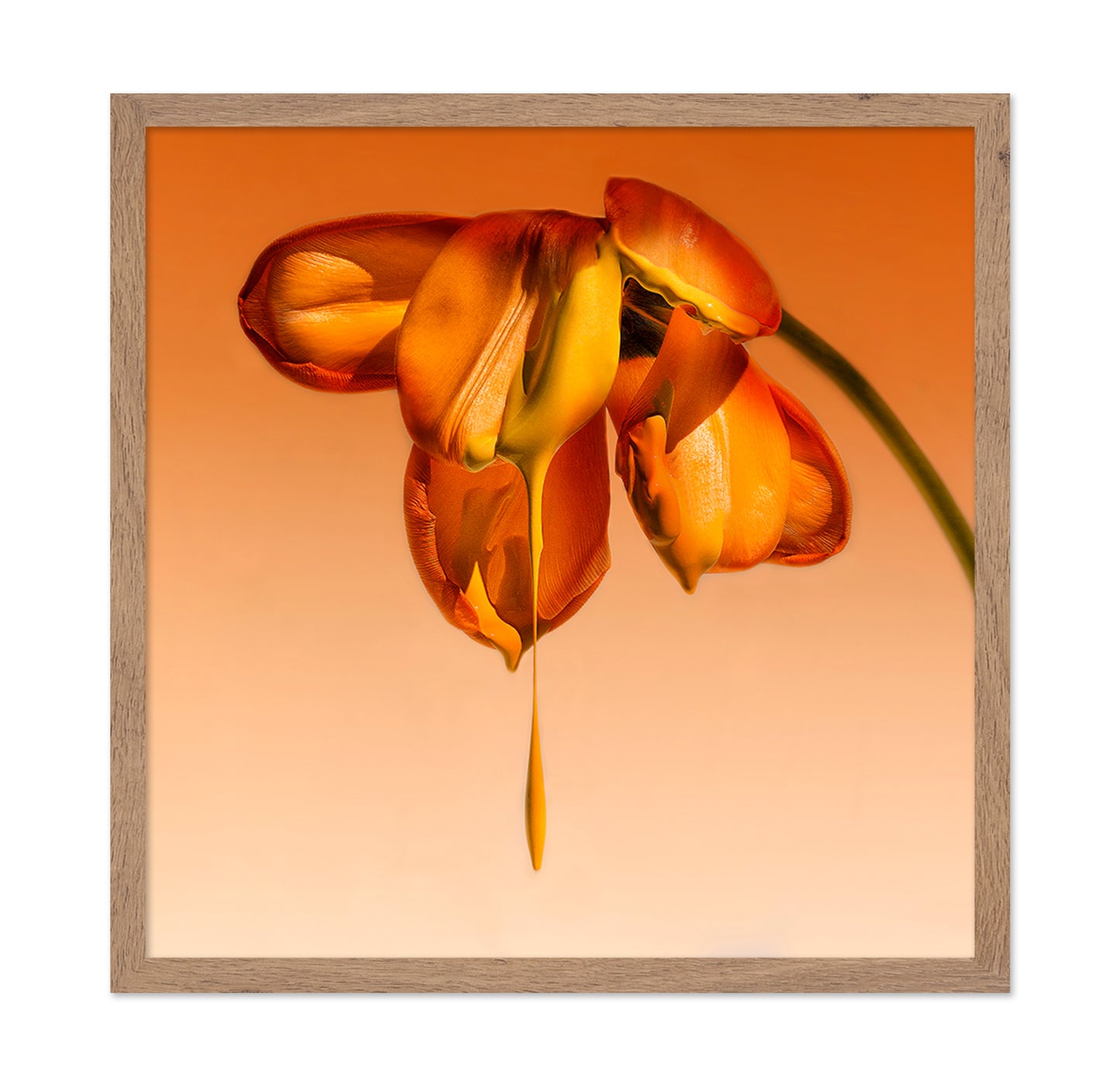 Tears Of A Flower
