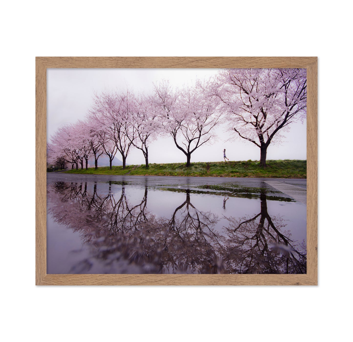 Rain of spring