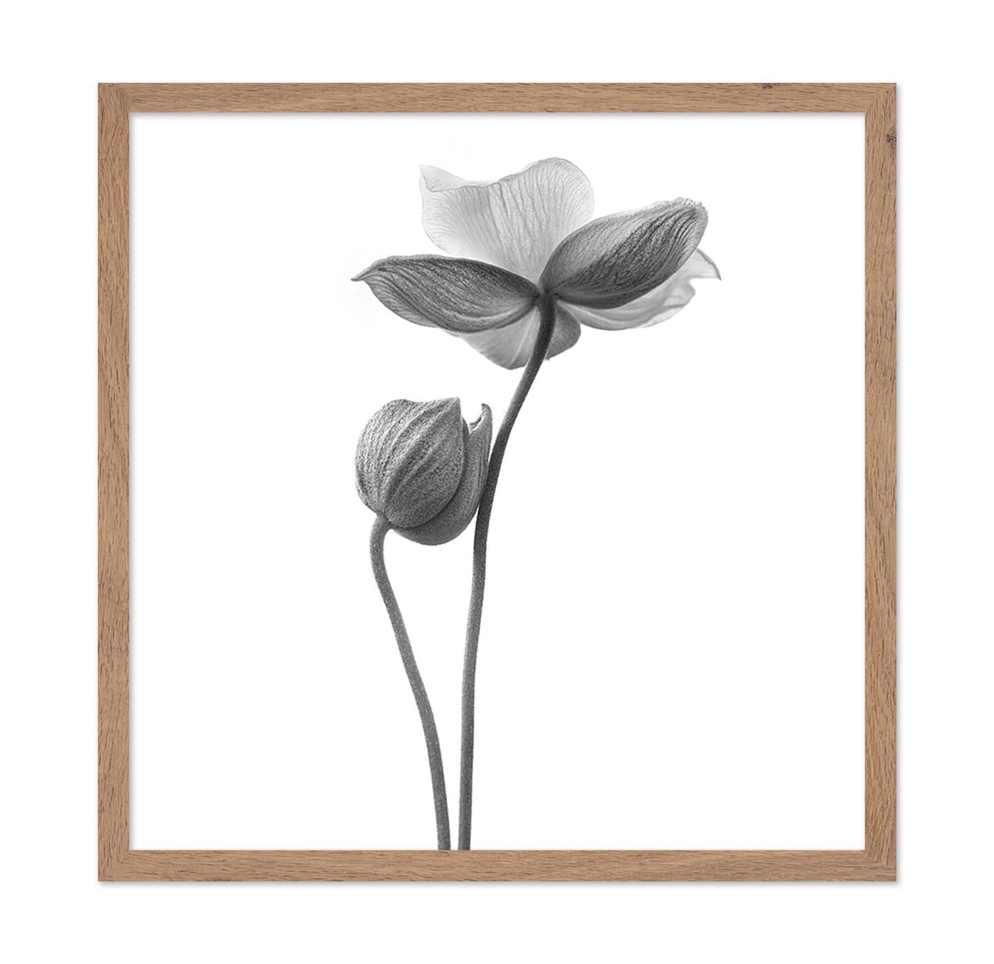 A Little Touch - Monochrome