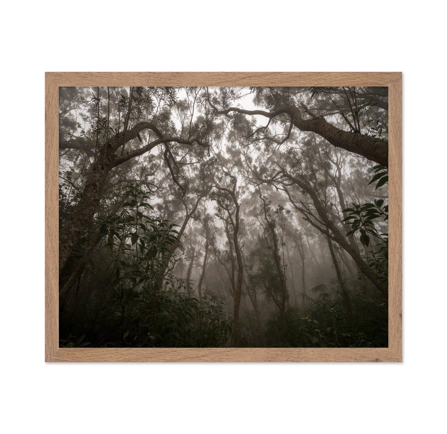 Heart of Darkness