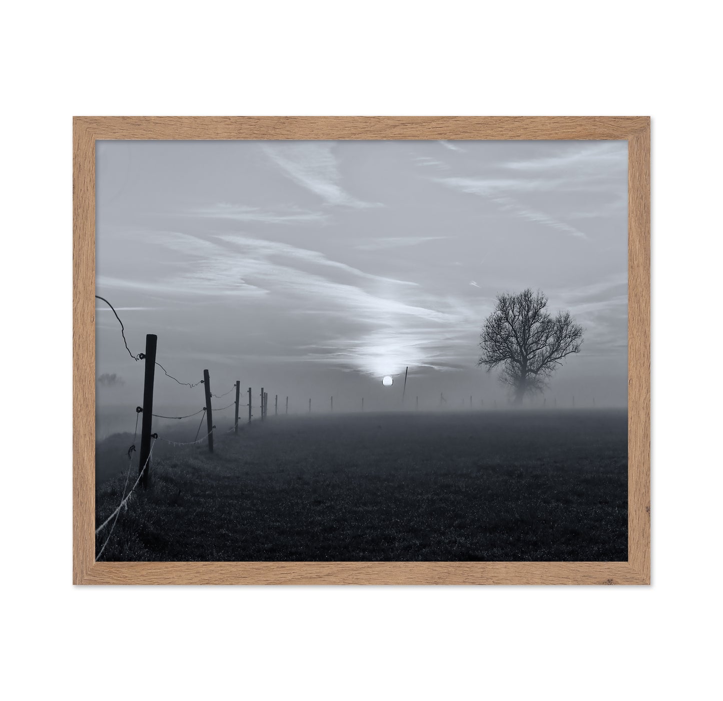 On A Misty Morning in March