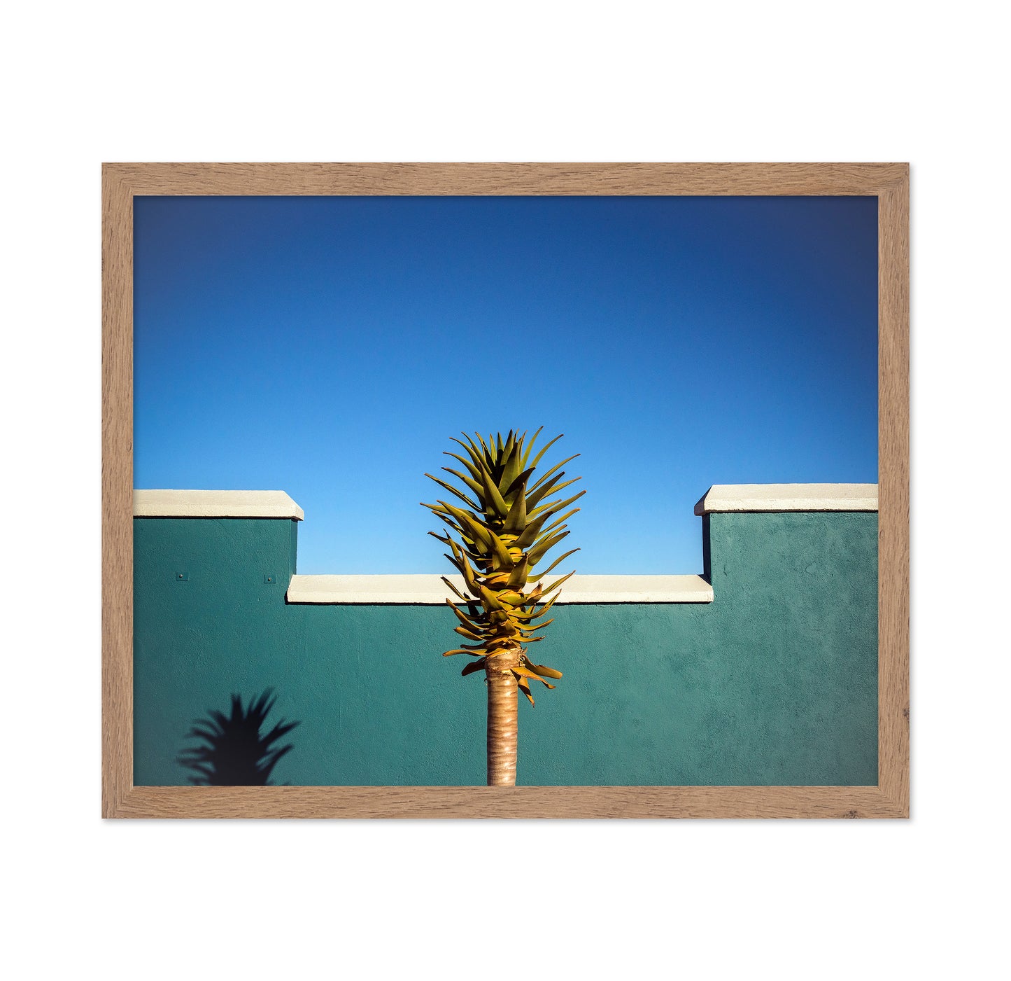 Tropical Palm Wall