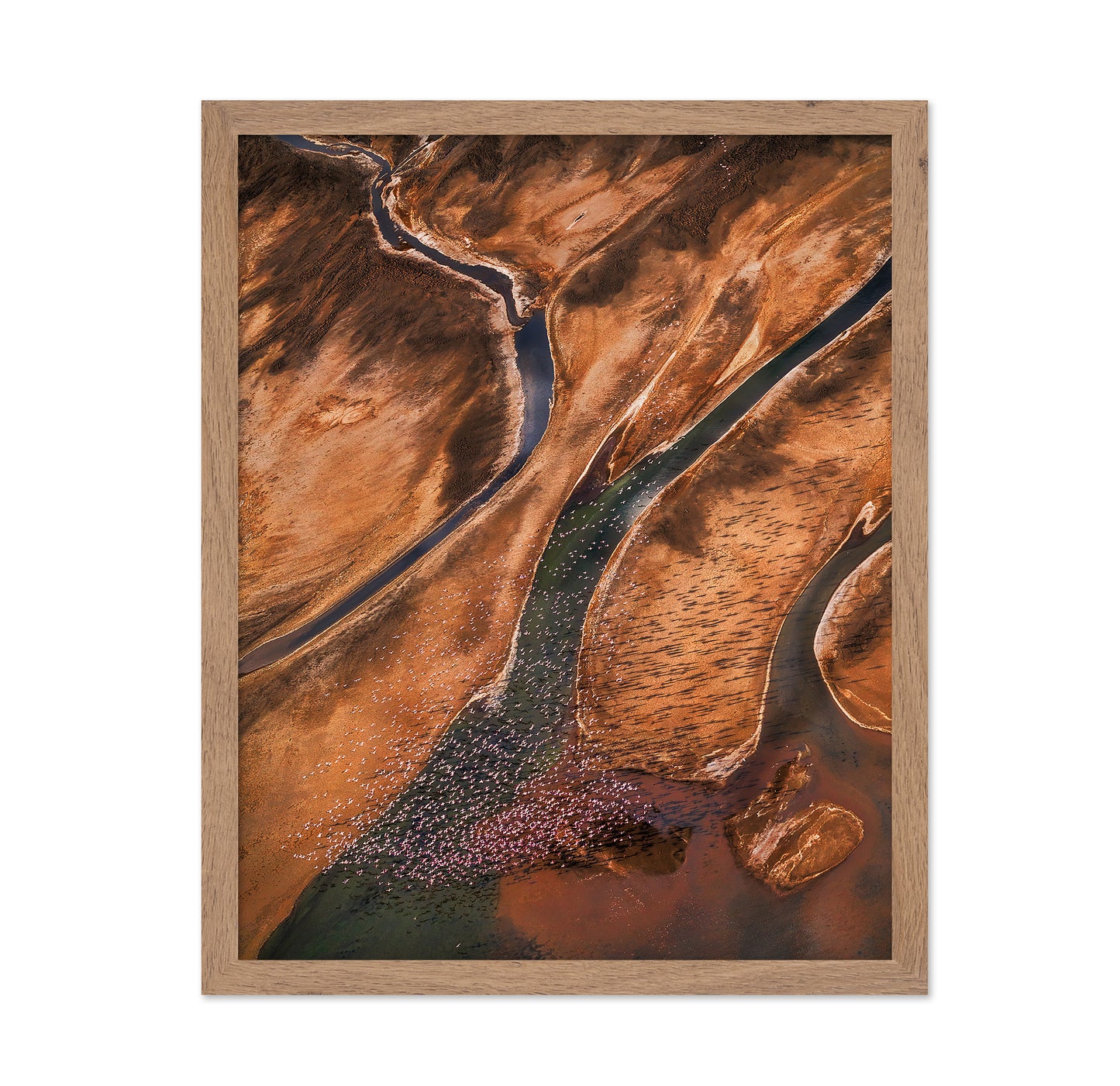 Flying Over Palette