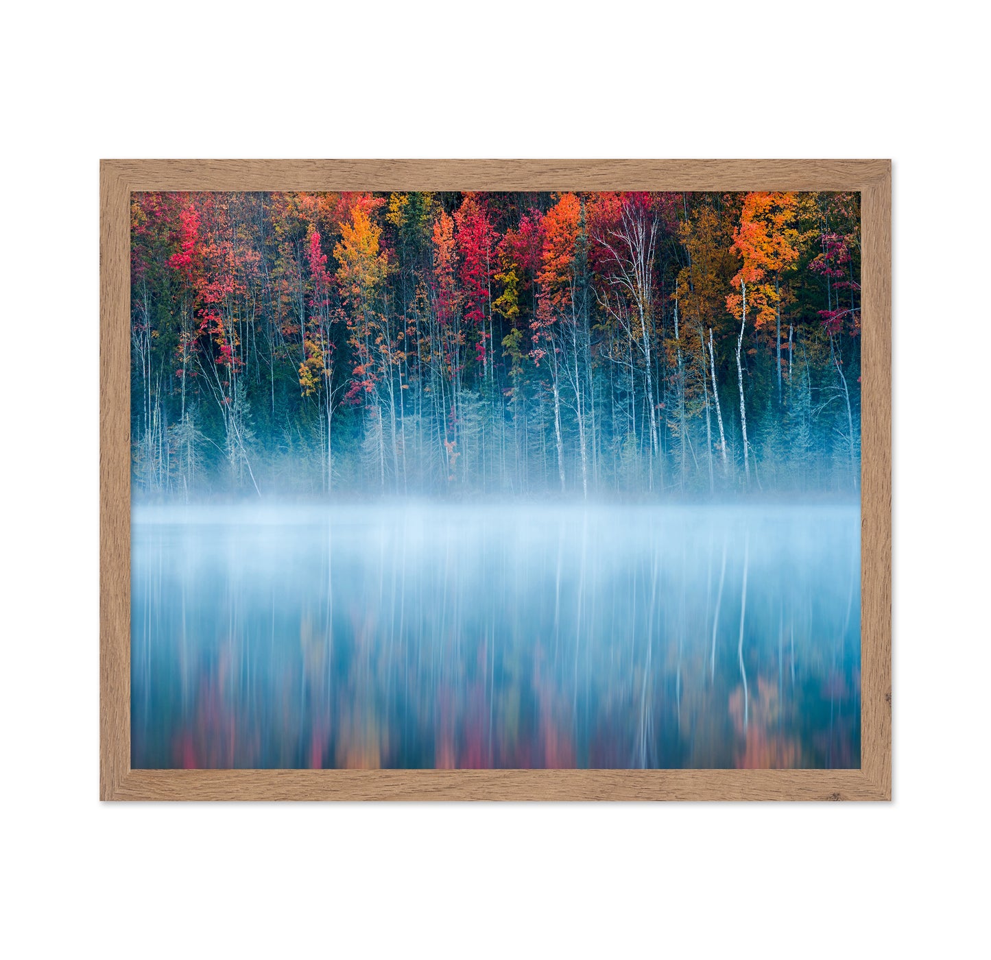 The Mirrored Forest
