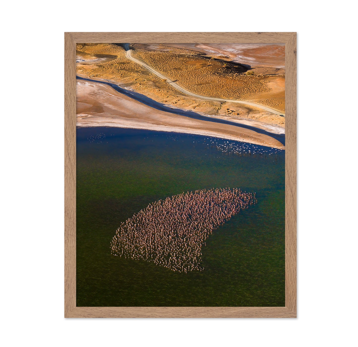 Flamingos on the Lake