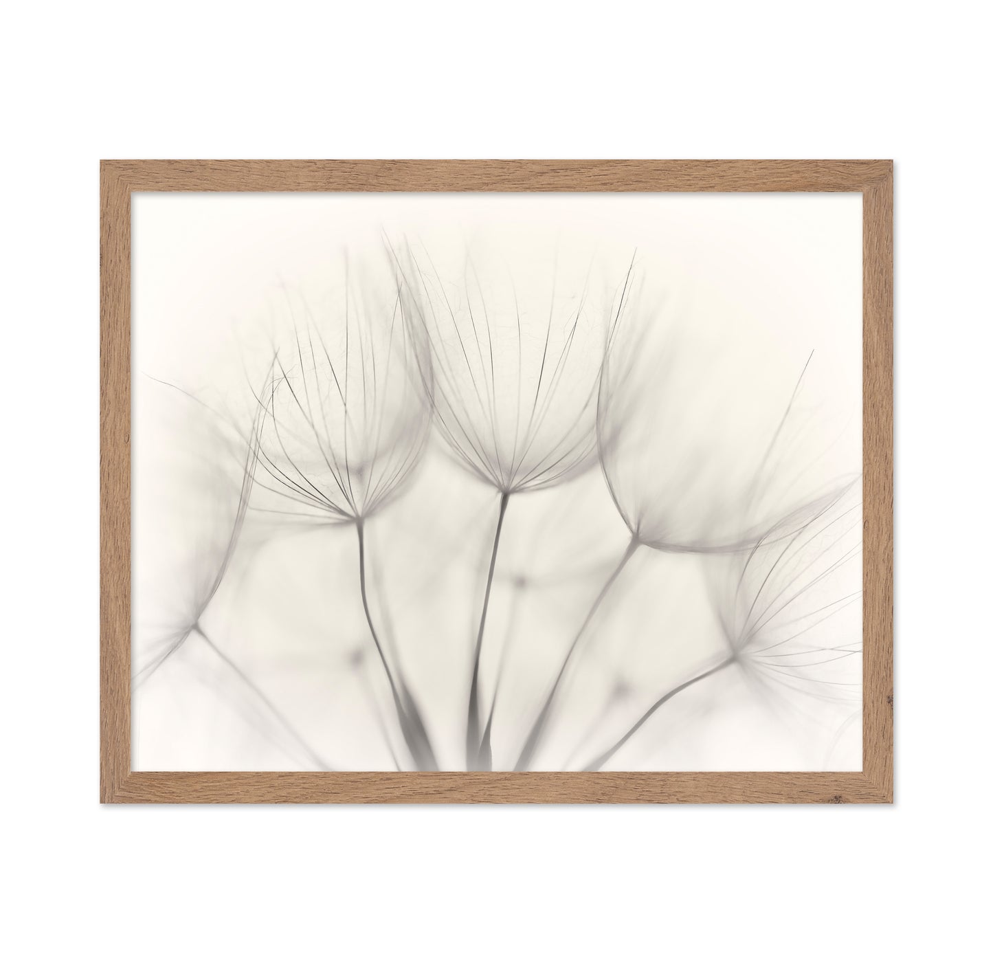 Seedlings