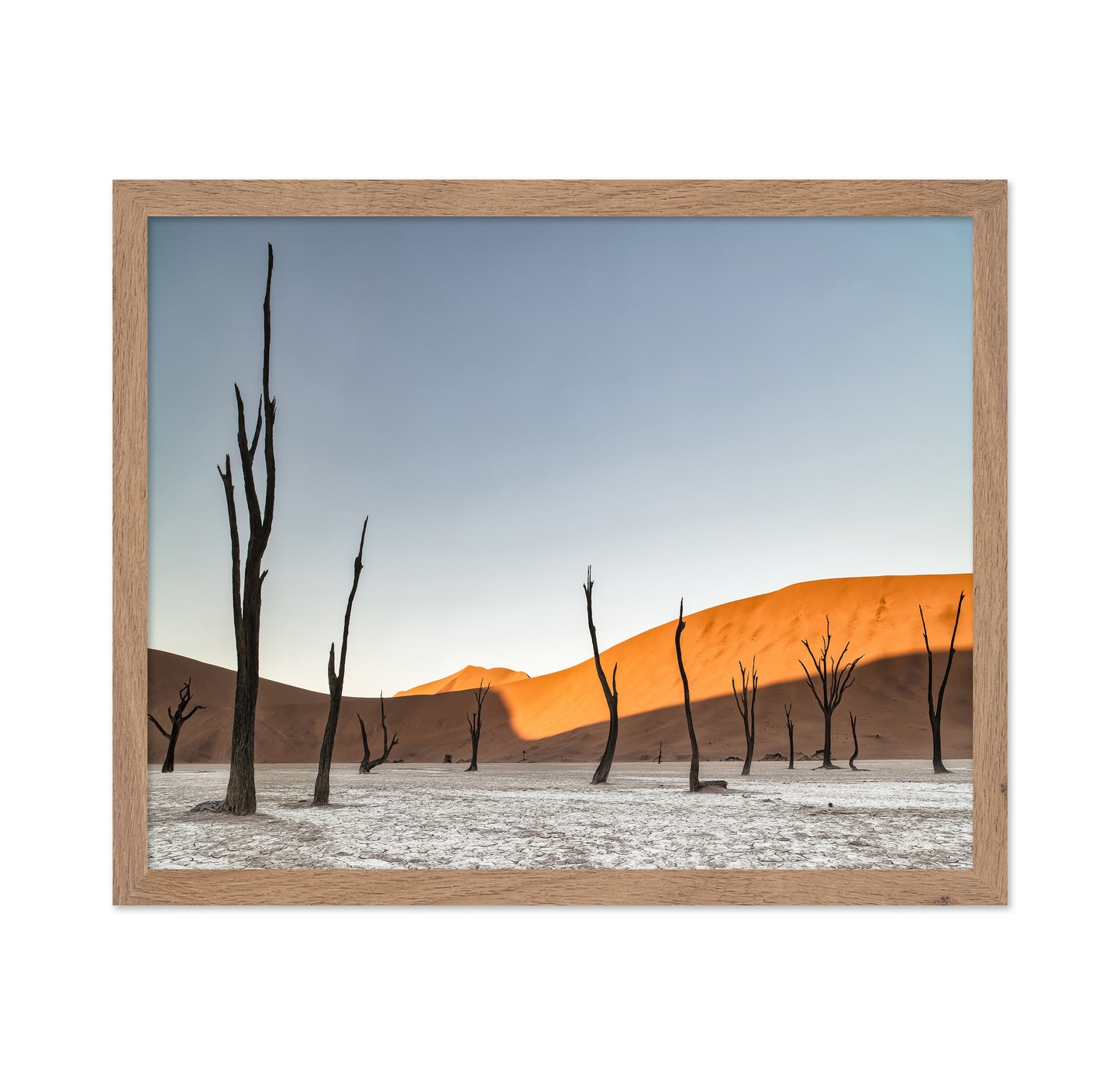 Namibian Desert