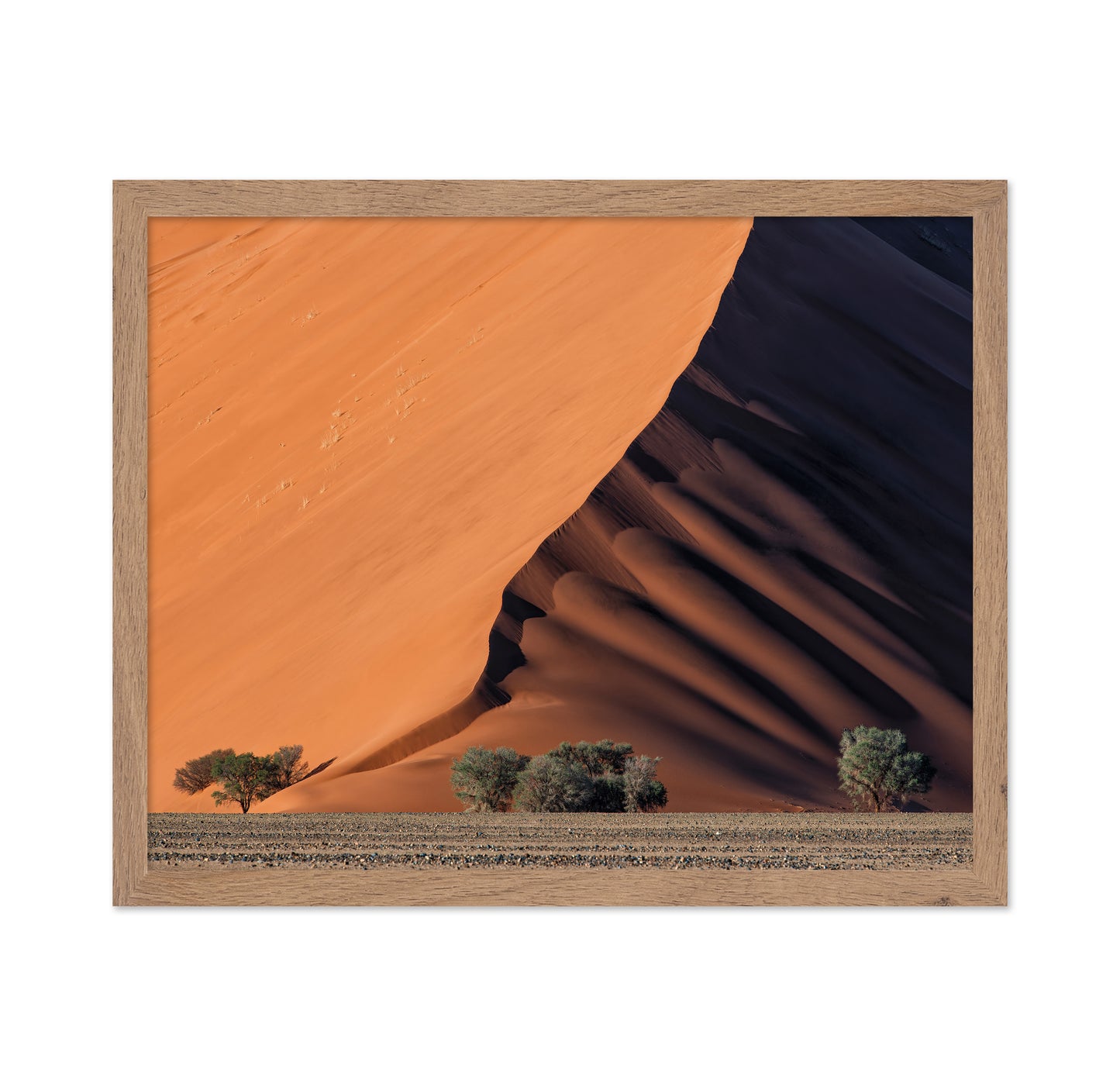 Life In The Desert
