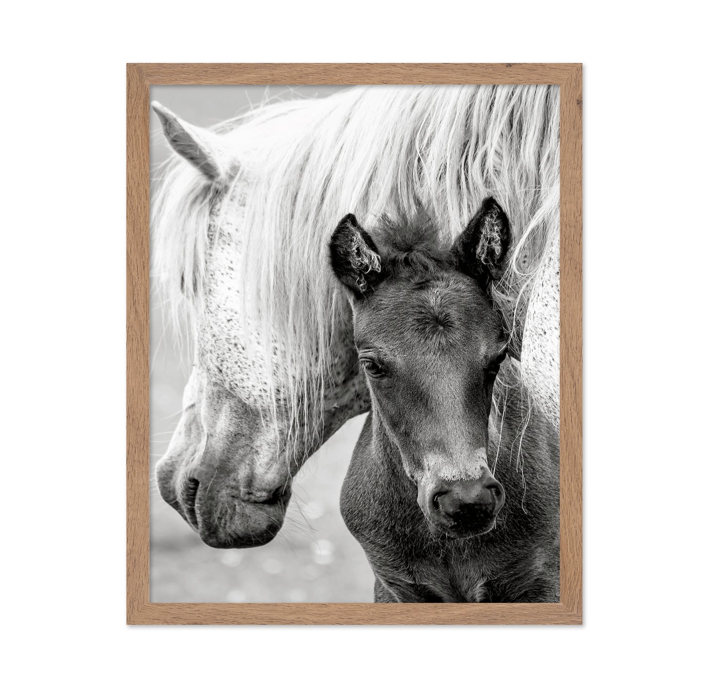 The Foal