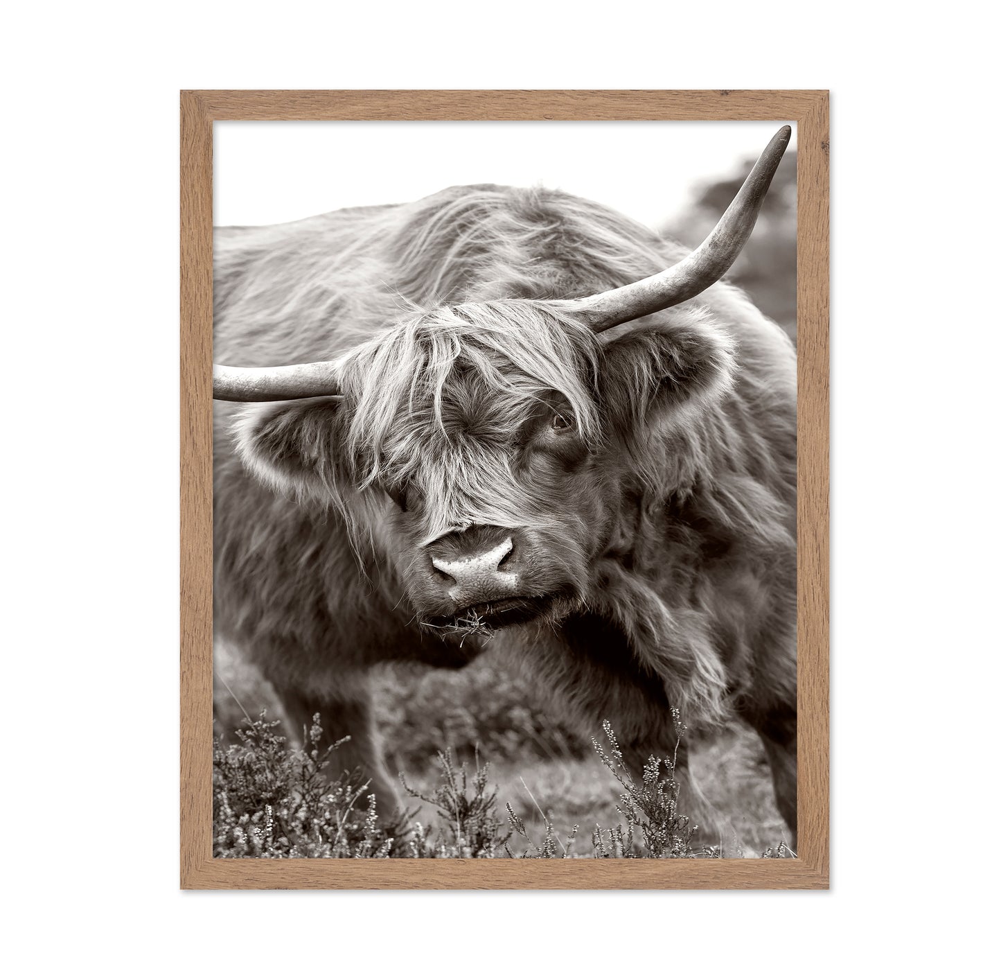 The Bull