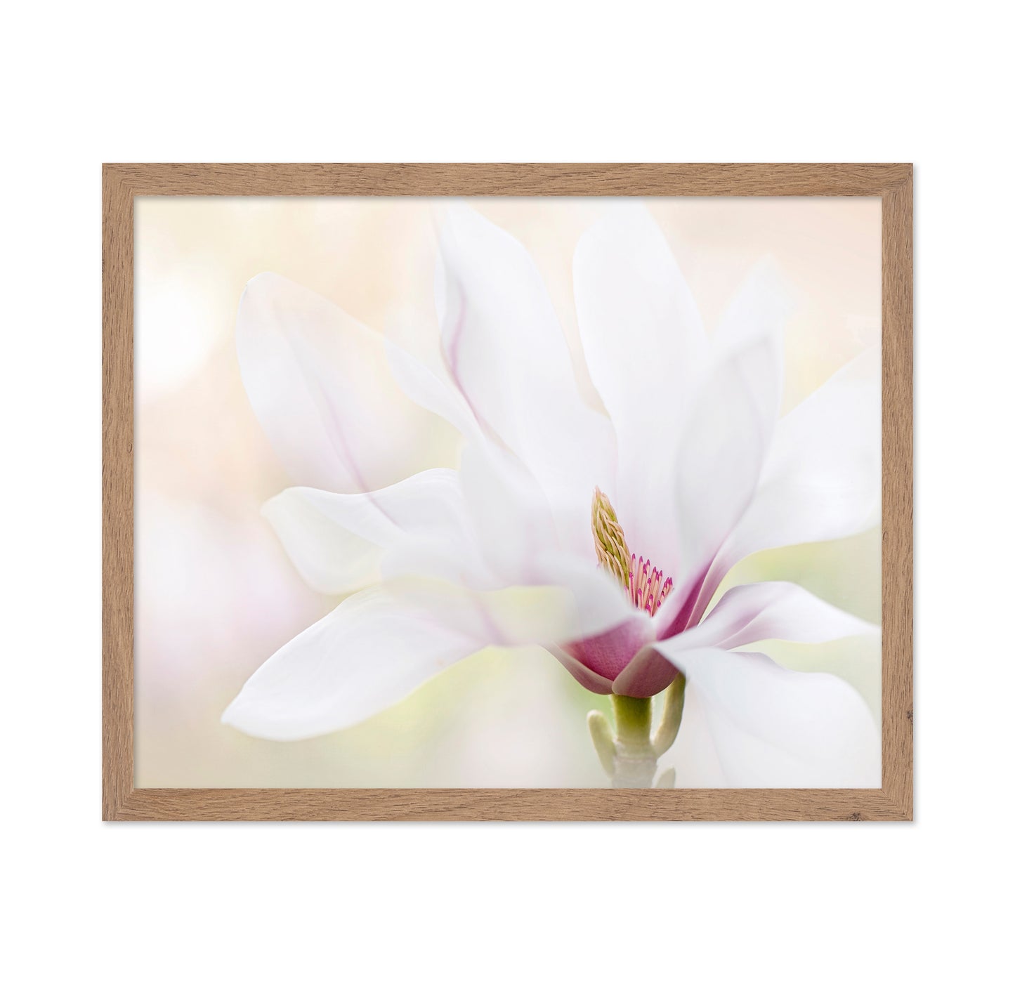 Purity