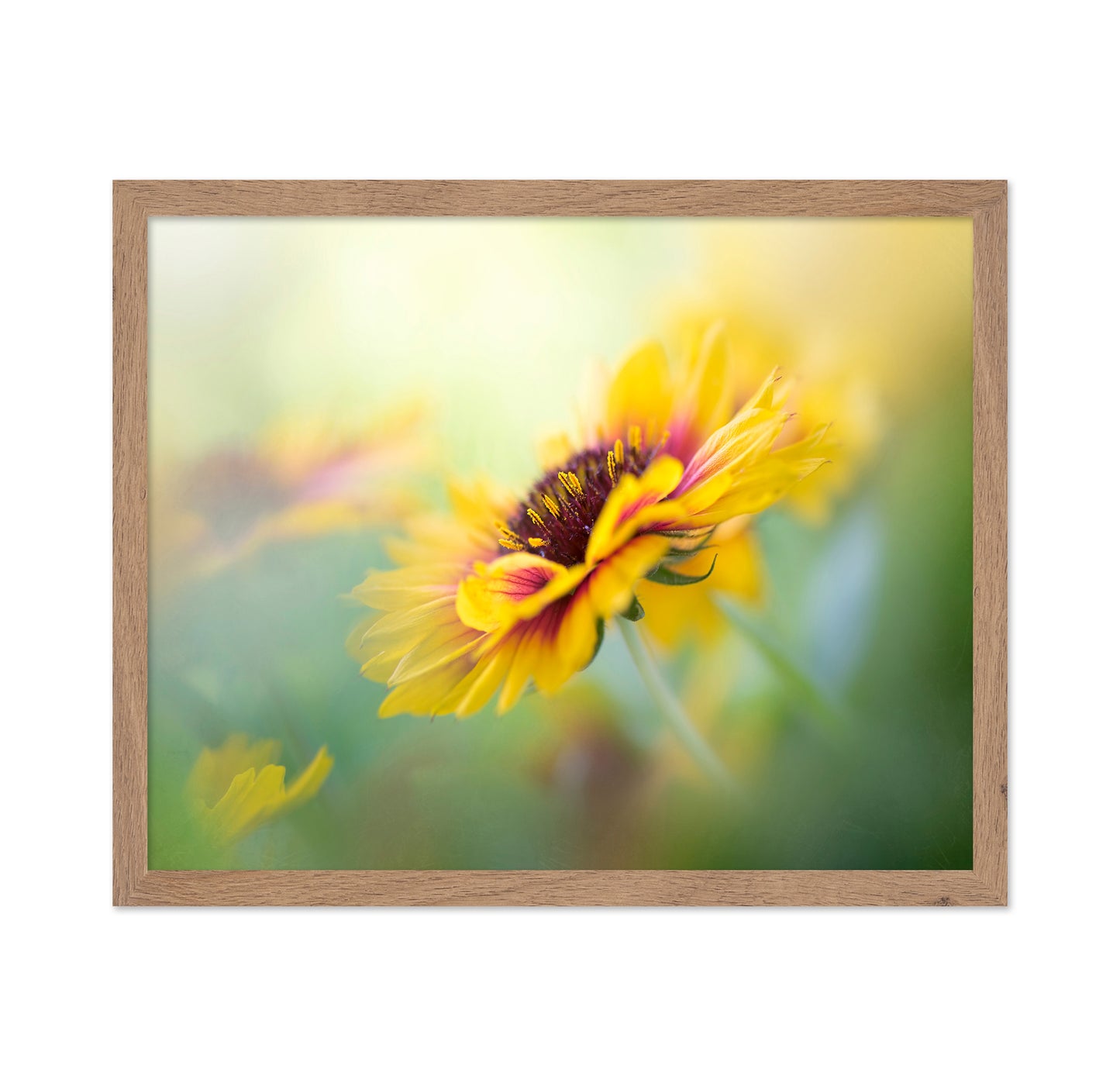 Yellow Blooms