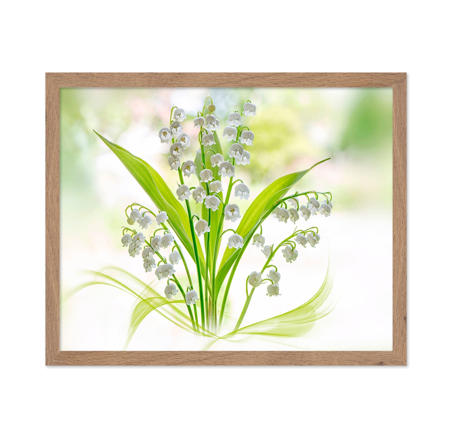 Lily Of The Valley