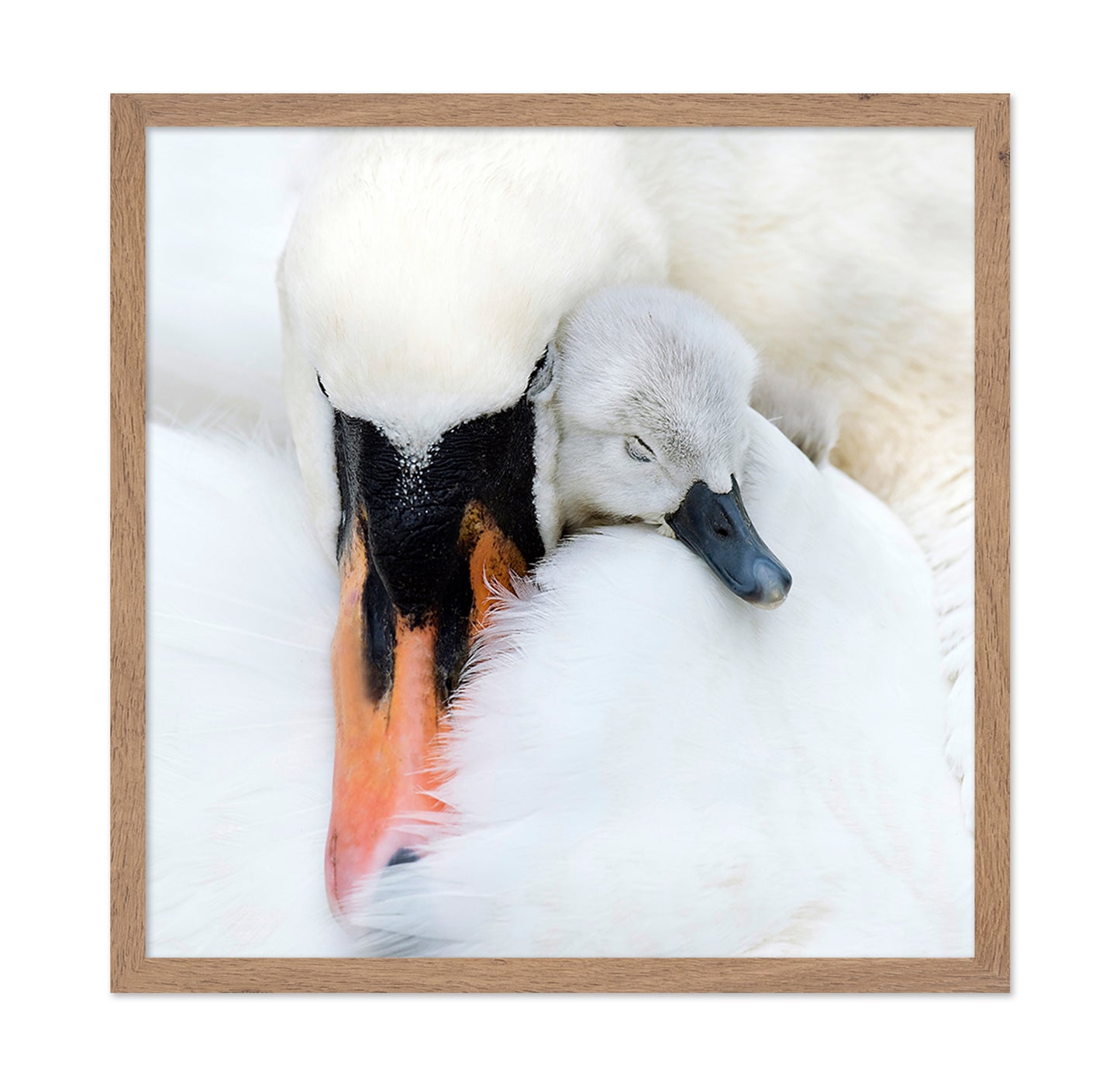 A Mother's Love