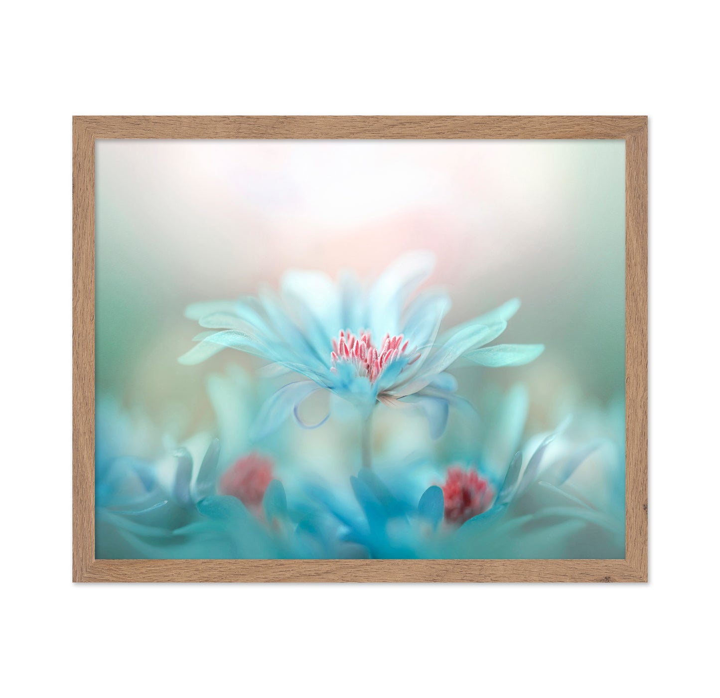 Delicate Blossoms in Pastel