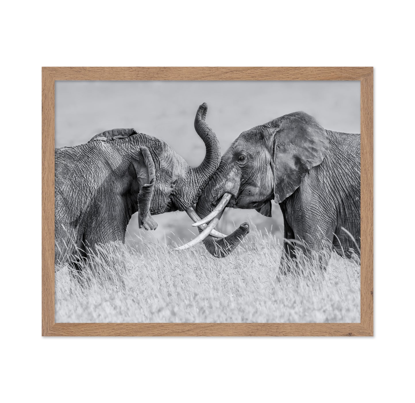 Elephant Tai Chi