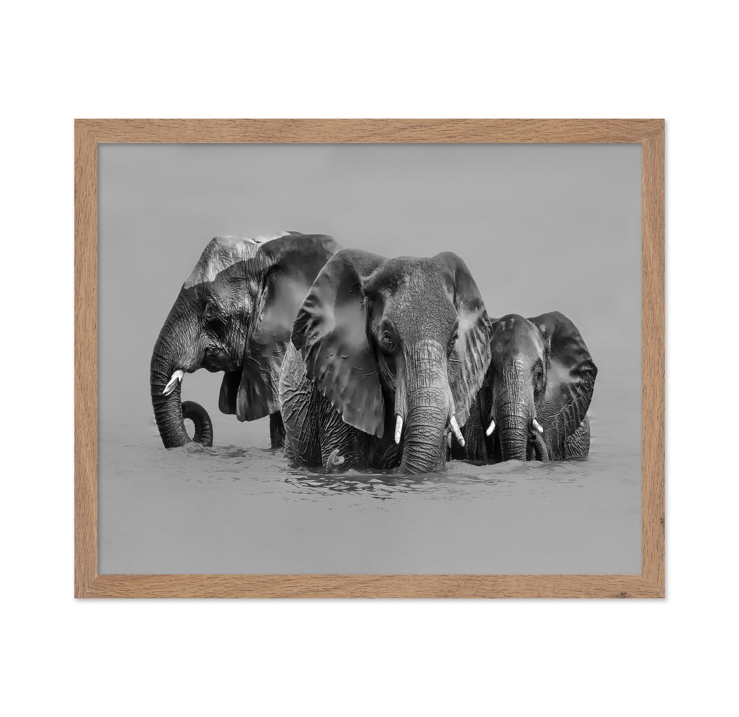 Elephant Crossing The River