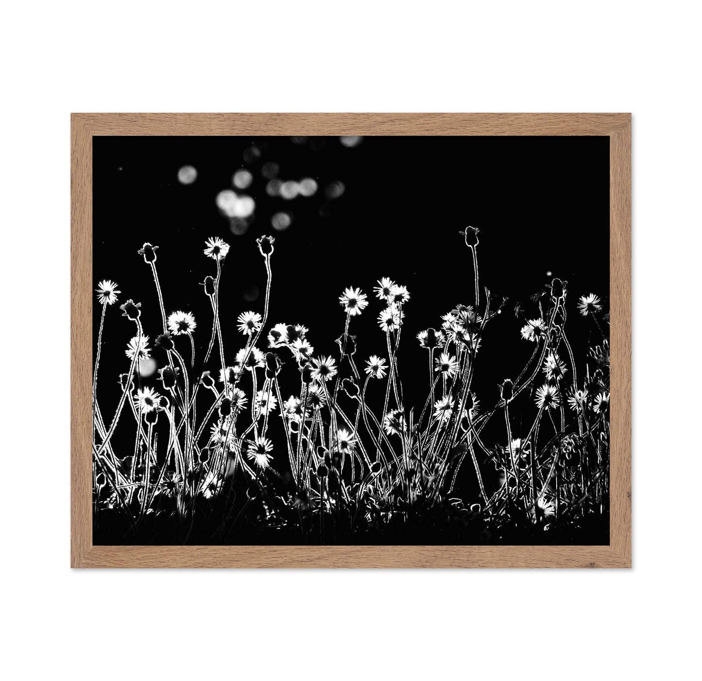 The Little Flowers