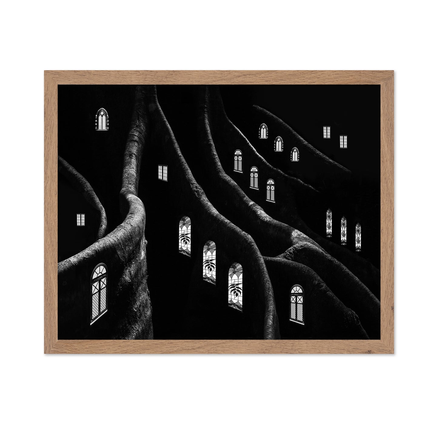 Windows of the Forest