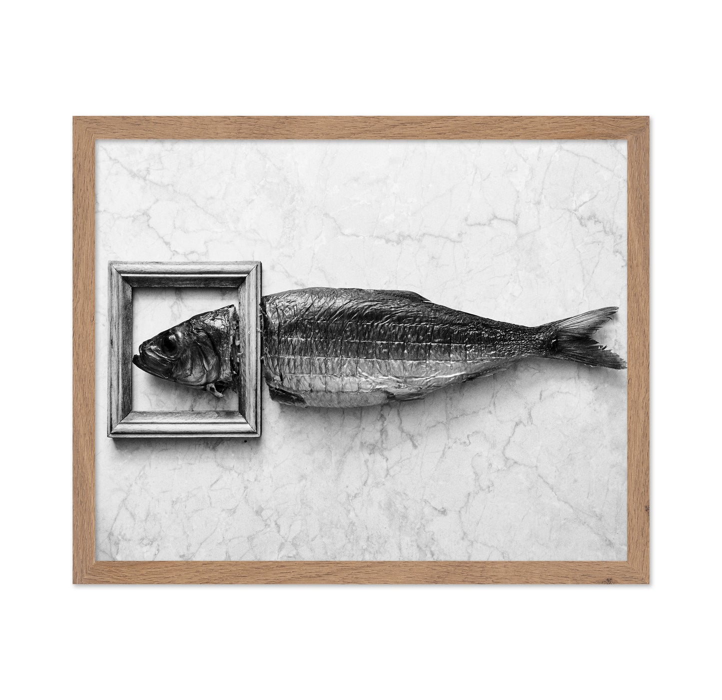 Fish Portrait