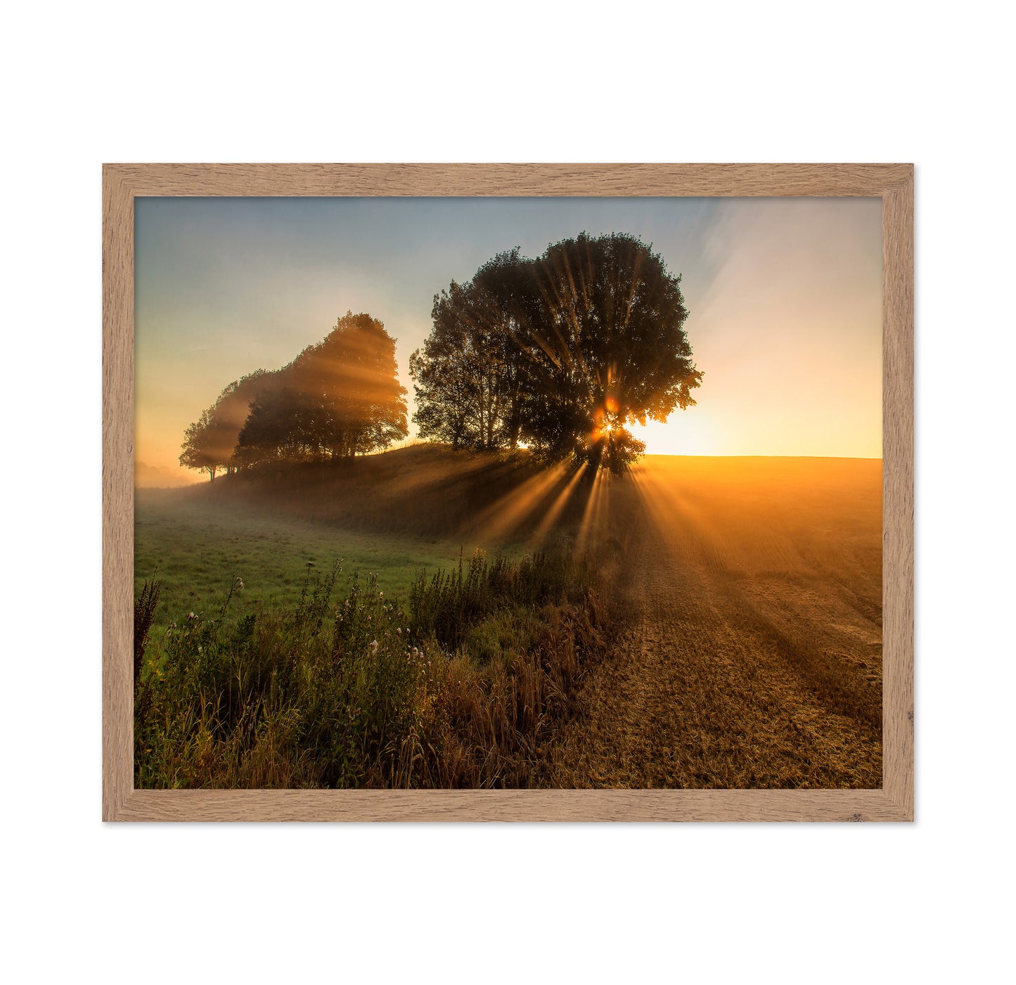 Sunbeams