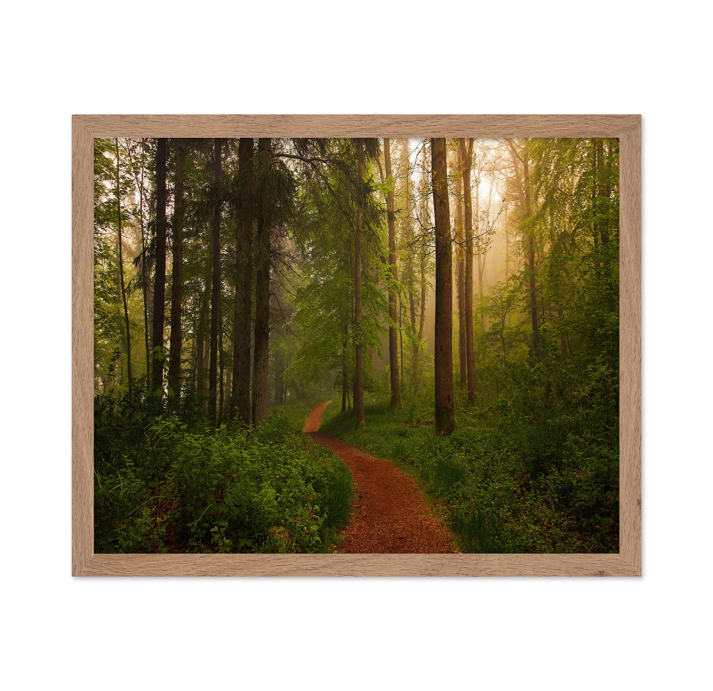 The Red Path