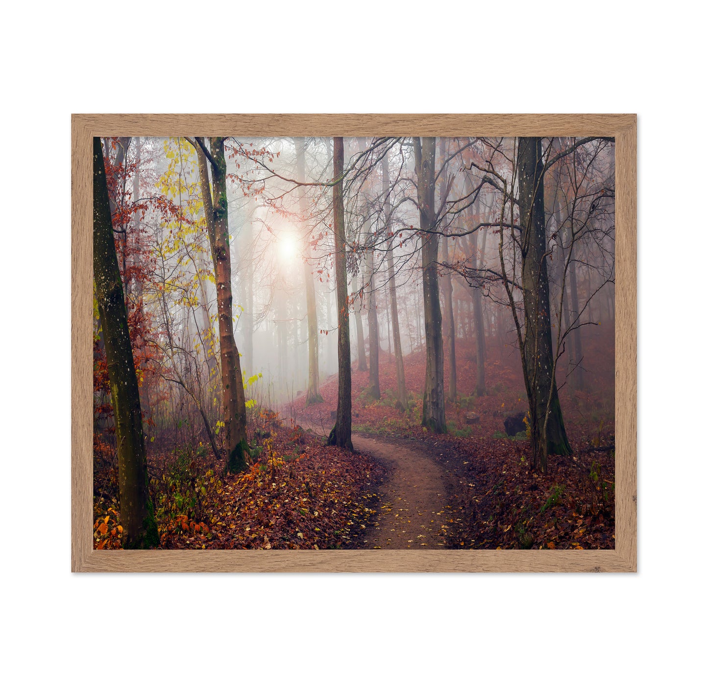 Autumn Sun
