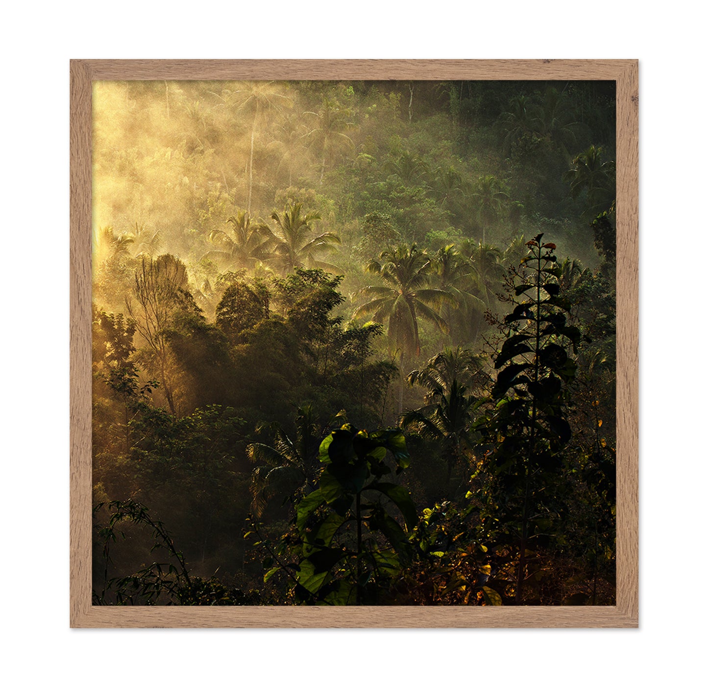 The Atmosphere Of The Morning