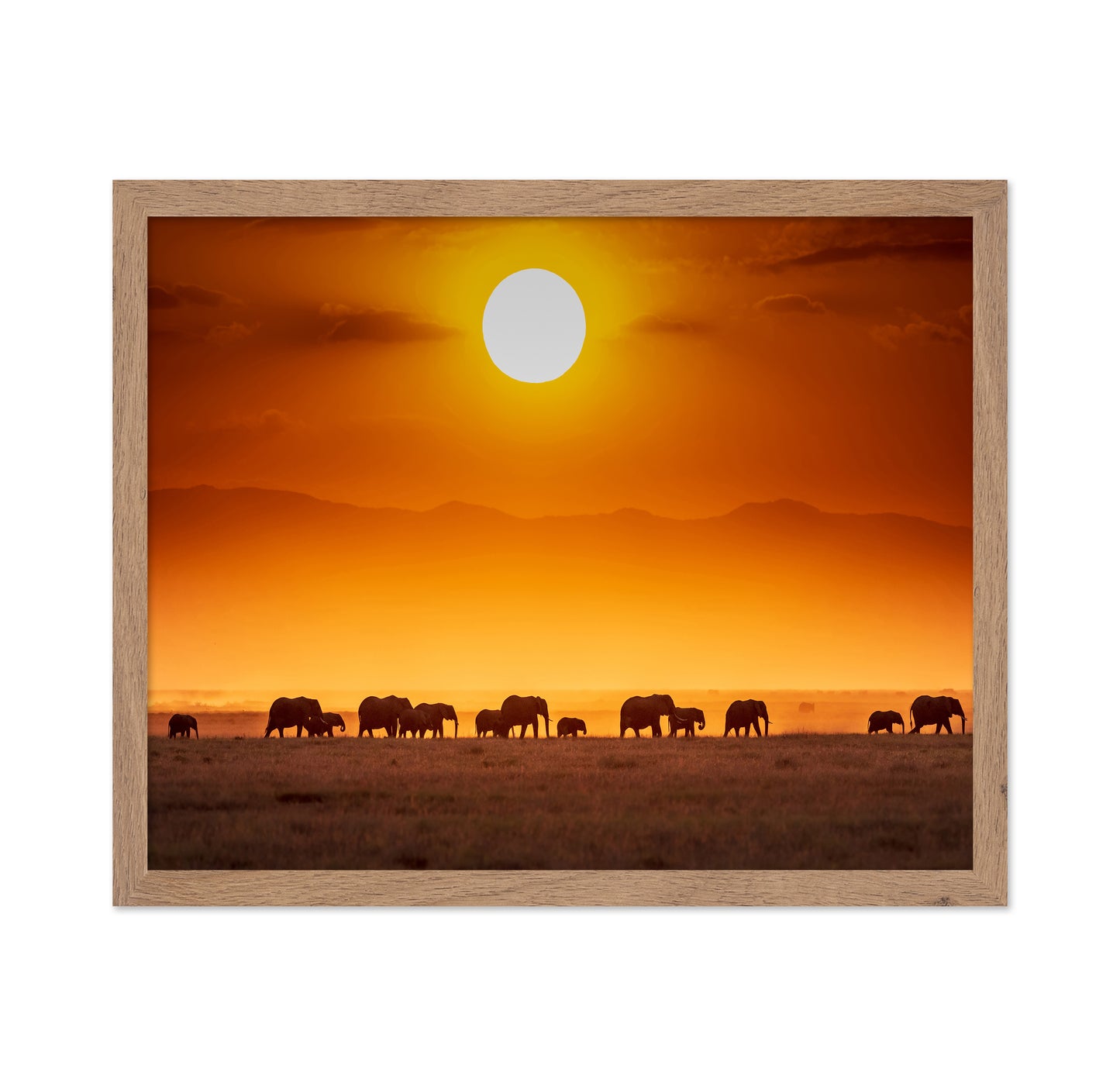 Sunrise Parade