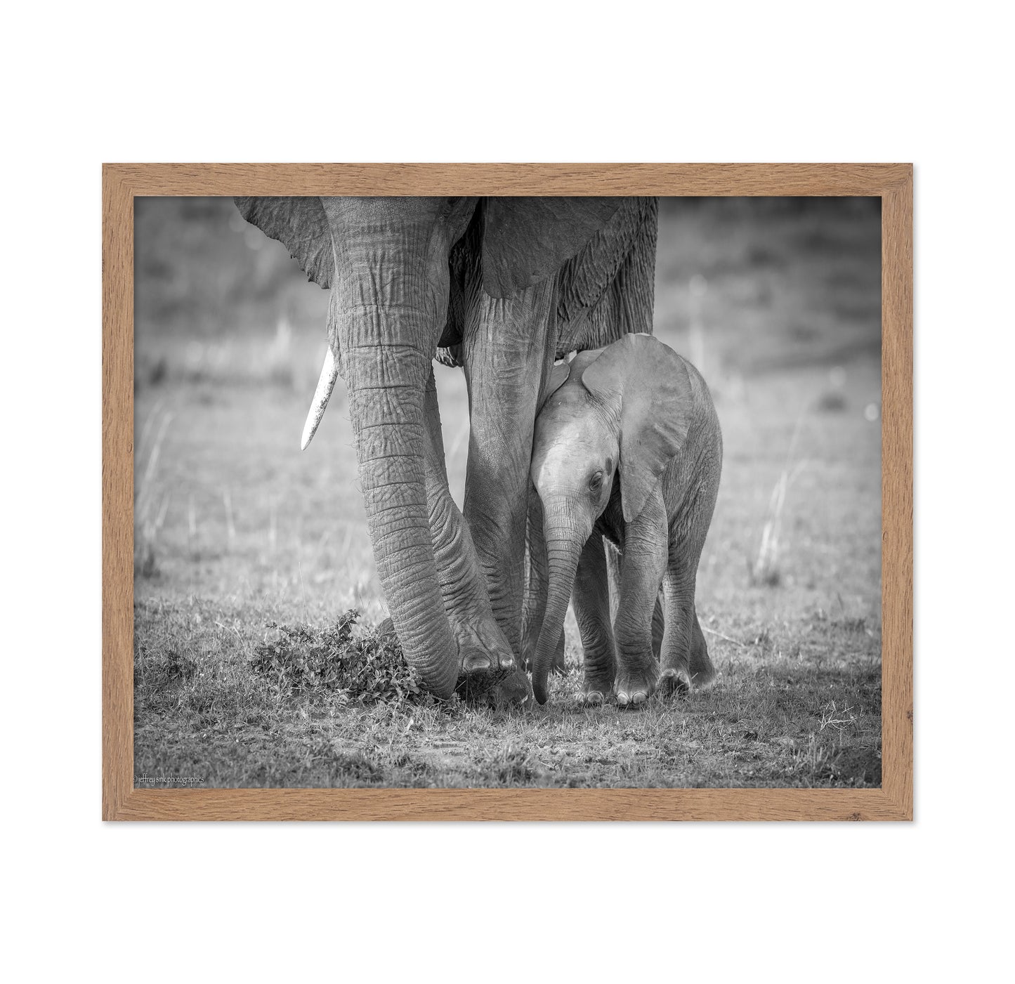 Elephant Mother and Baby