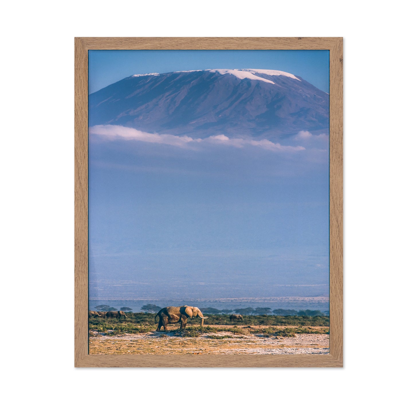 Kilimanjaro and the Quiet Sentinels