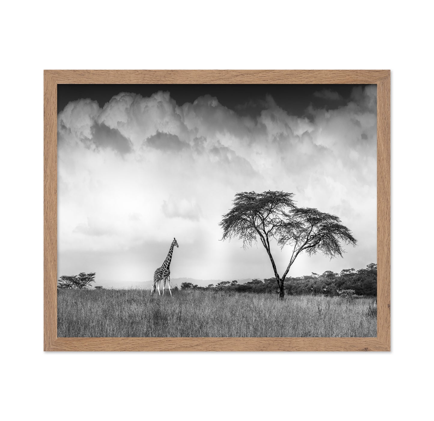 And I Dreamed Of Africa