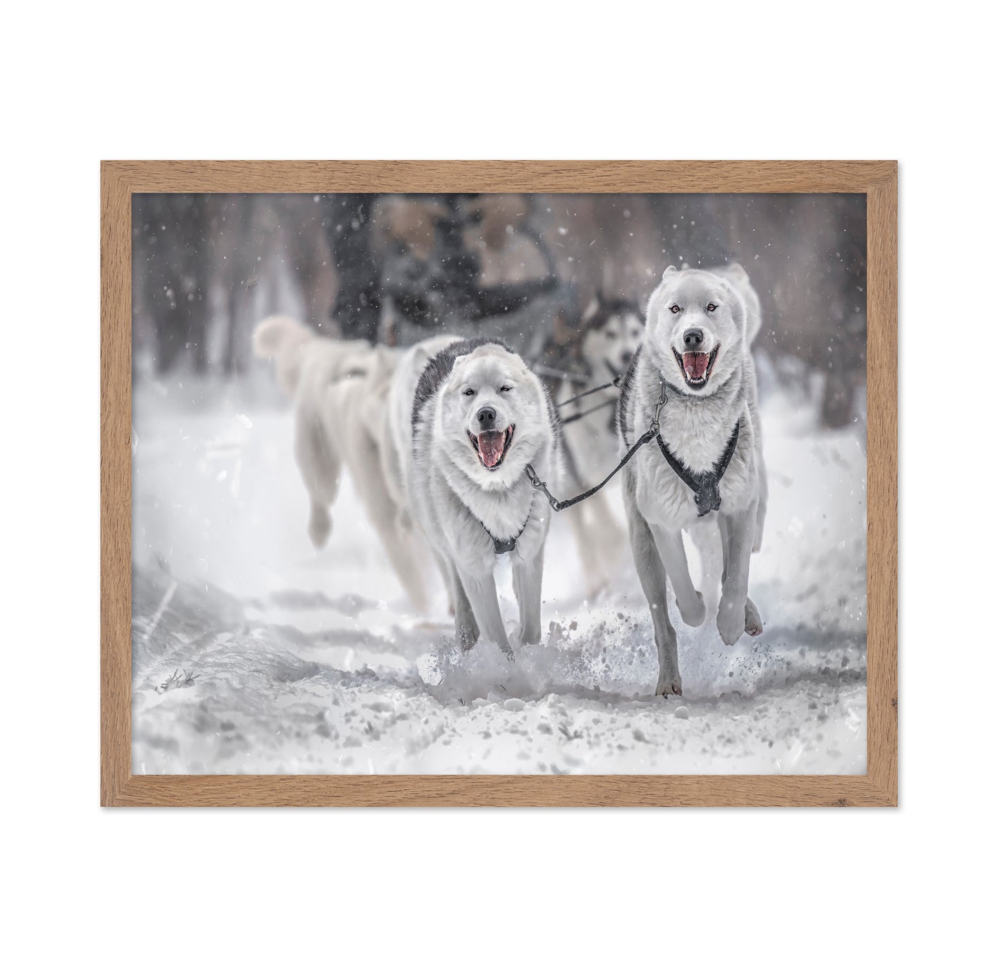 Winter Sport