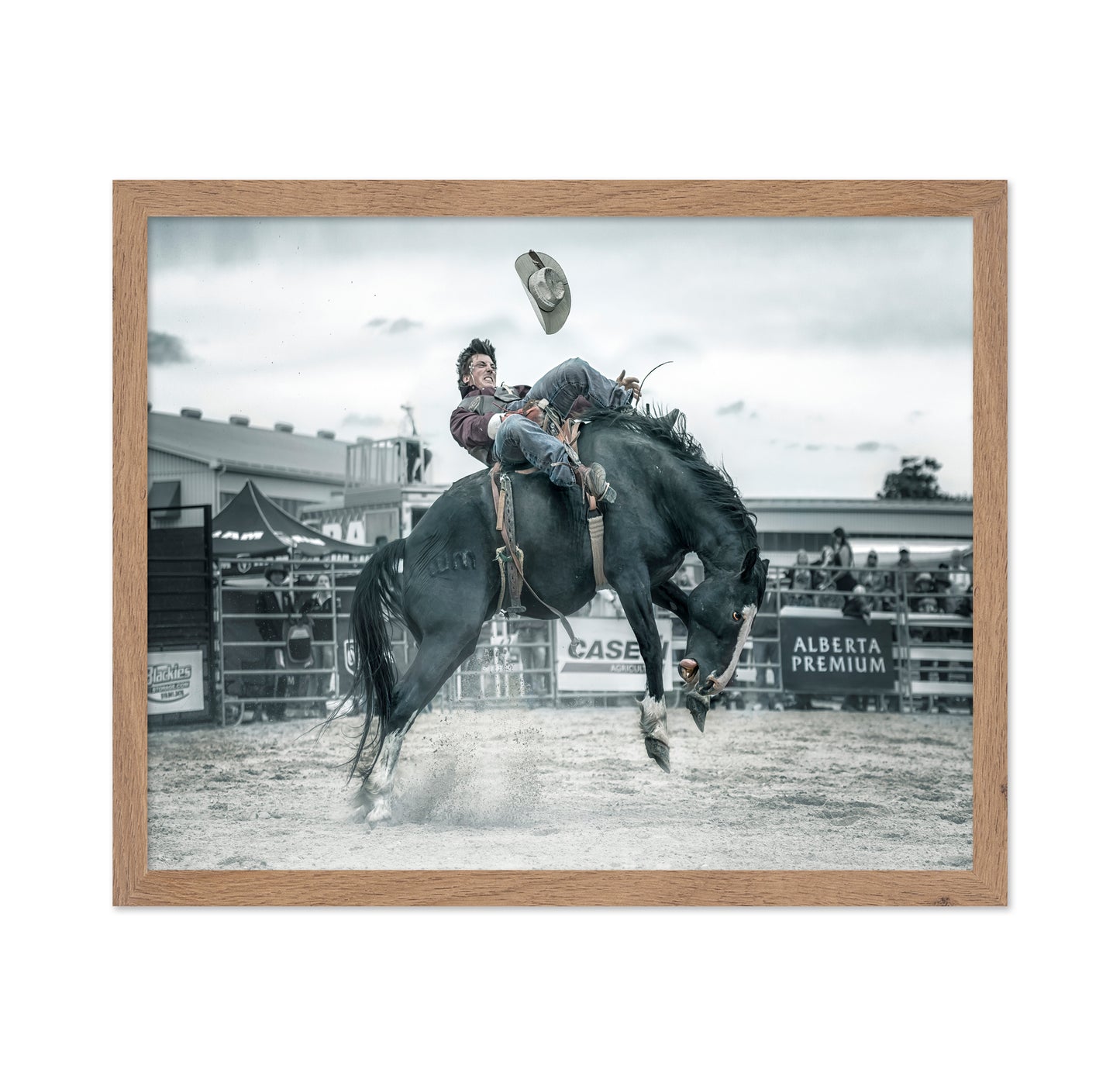Cowboy In Action