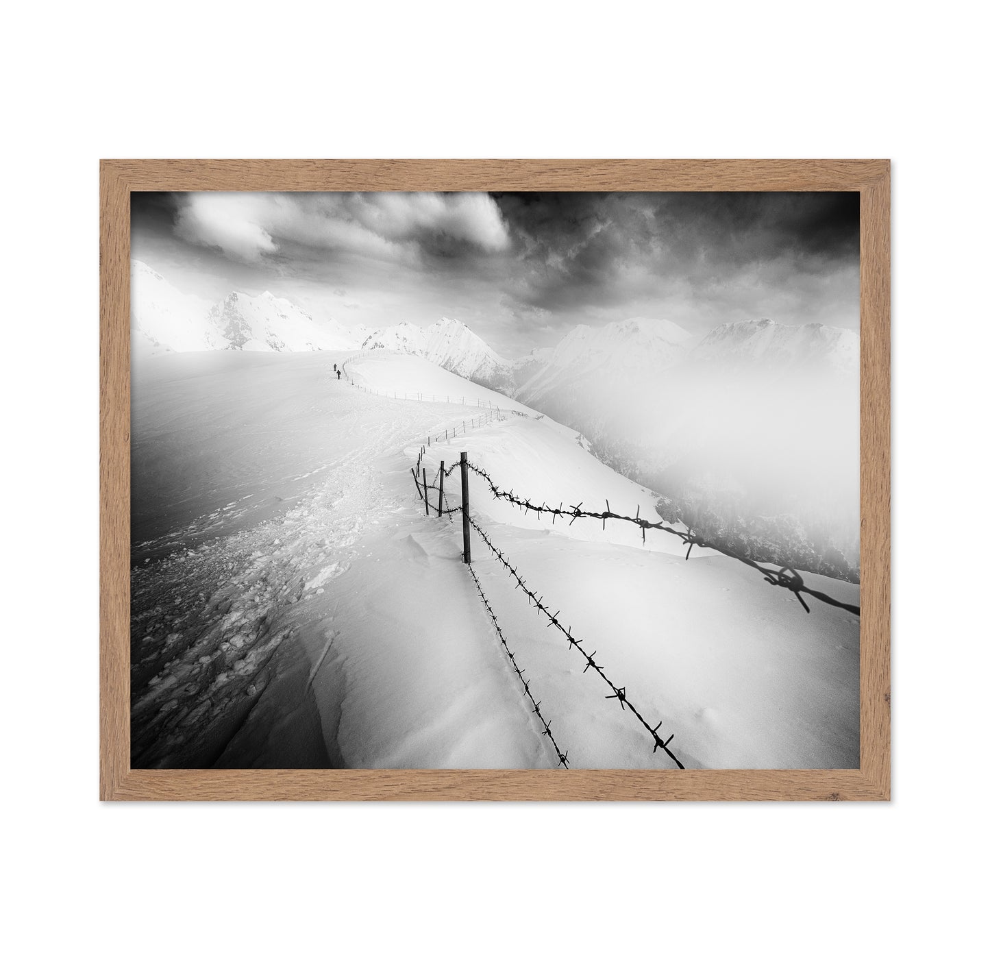 Into the White