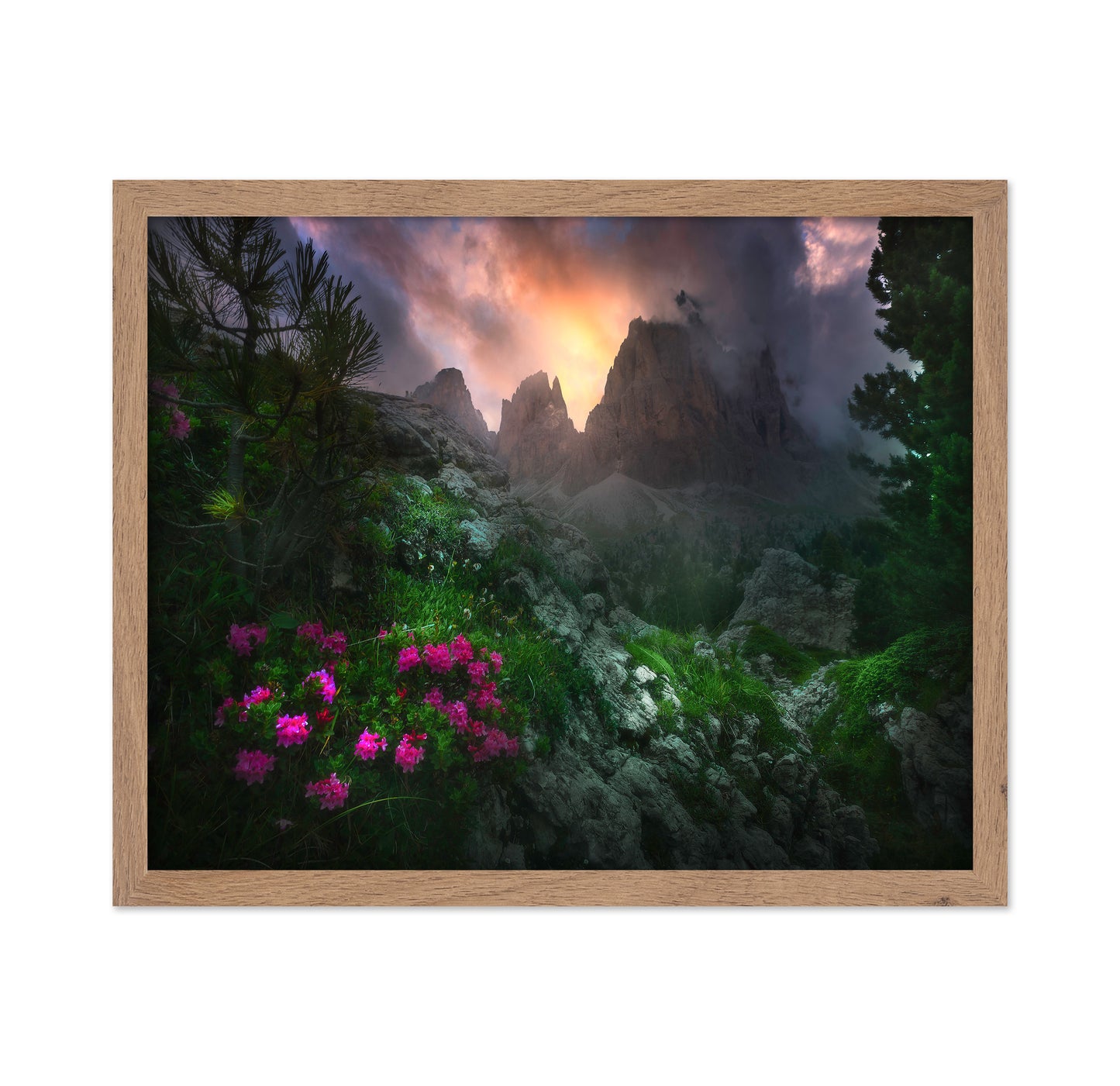Gaeden Of Eden