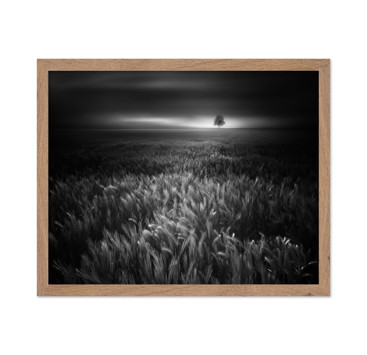 Bucolic Sunrises