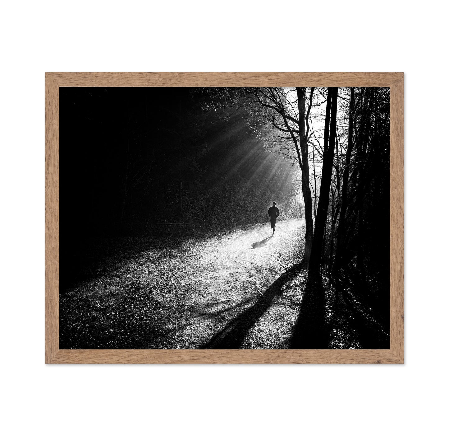 Through The Sun Rays