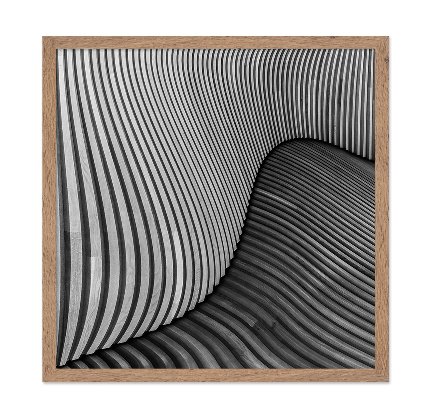 The Wood Project I -Tangled Wood