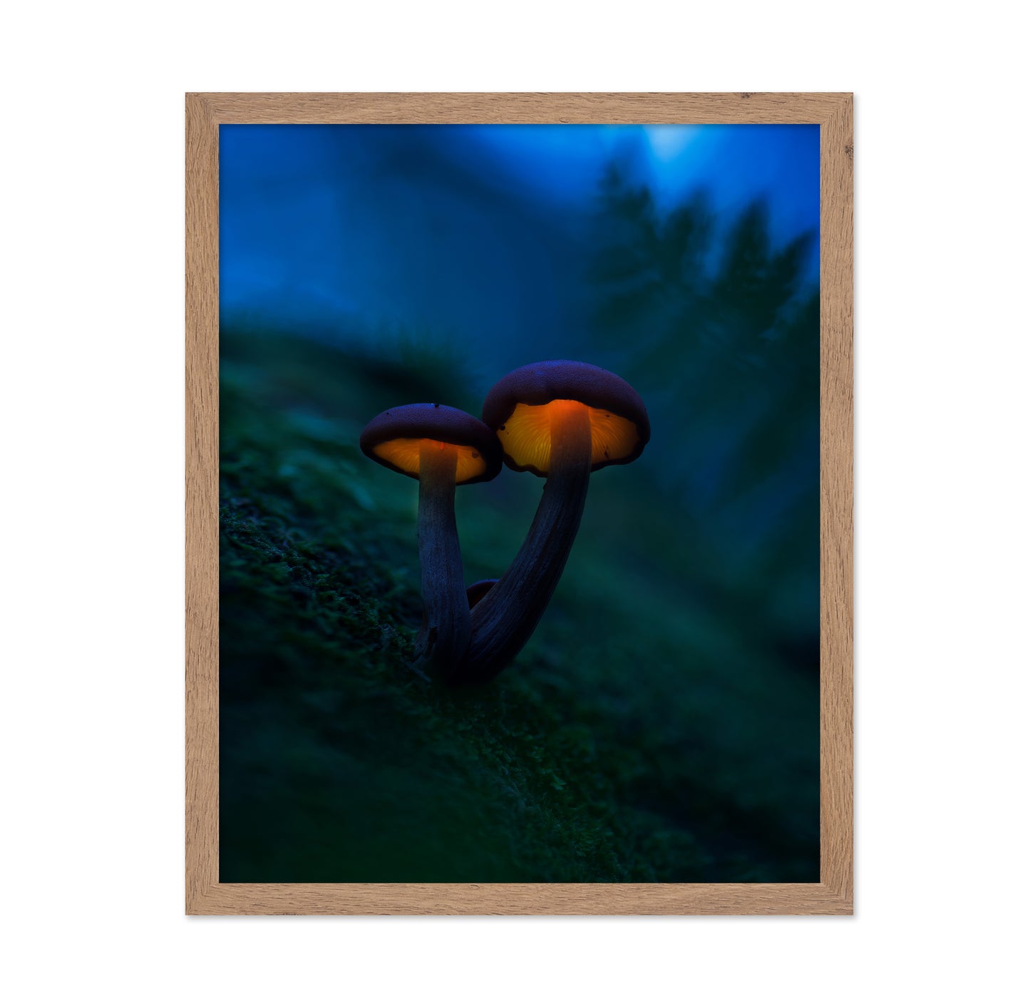 Glowing Mushrooms