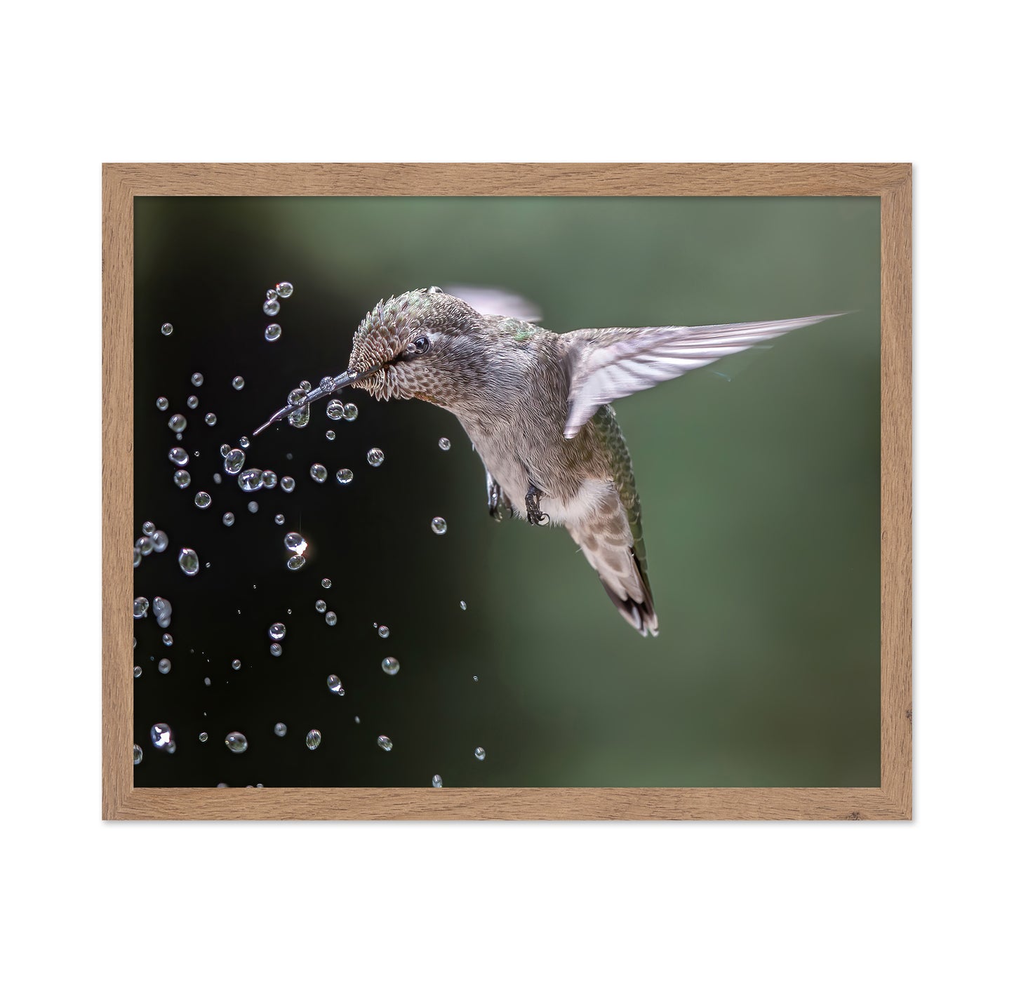 Happy Hummingbird