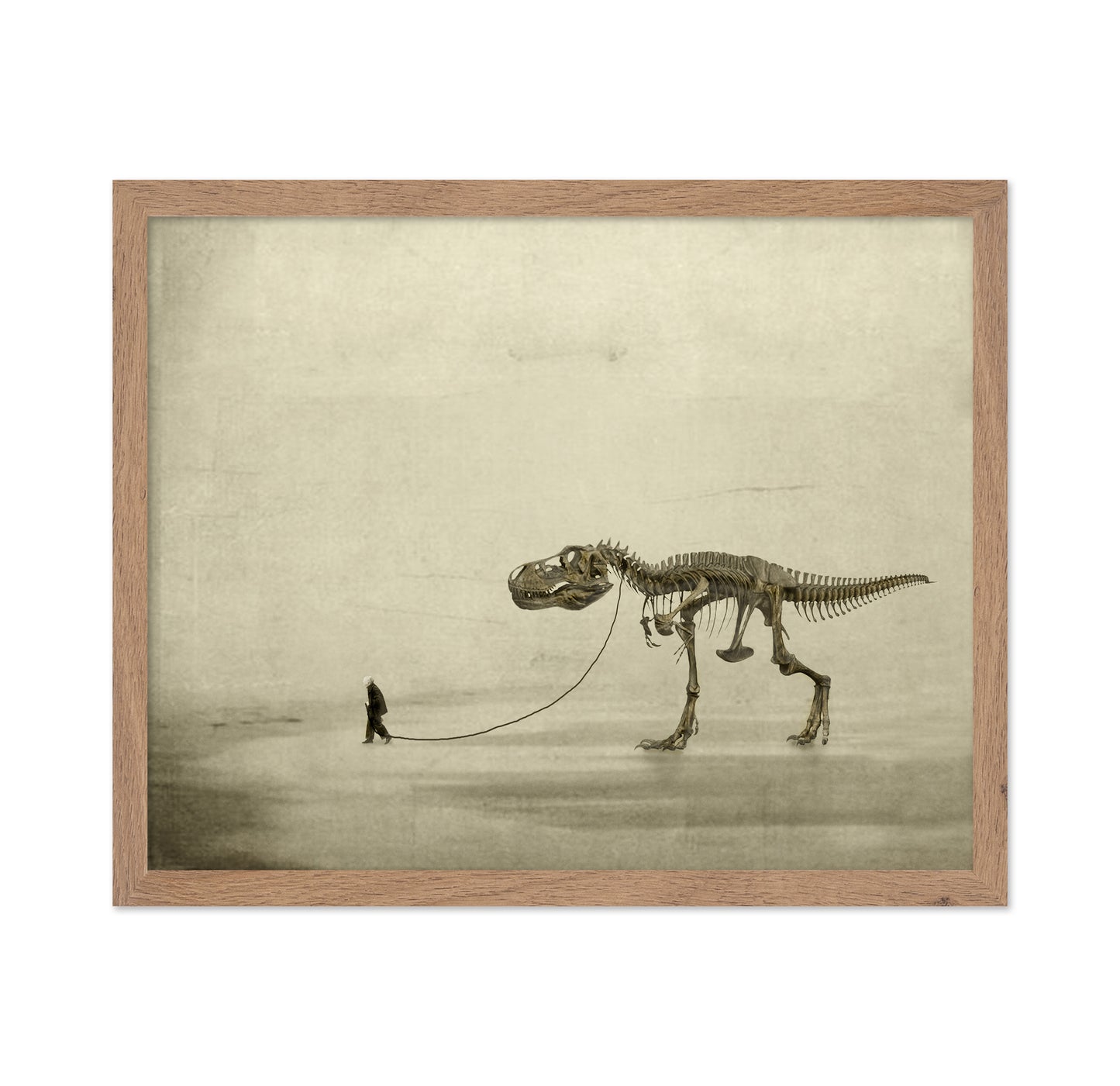 A Prehistoric Companion