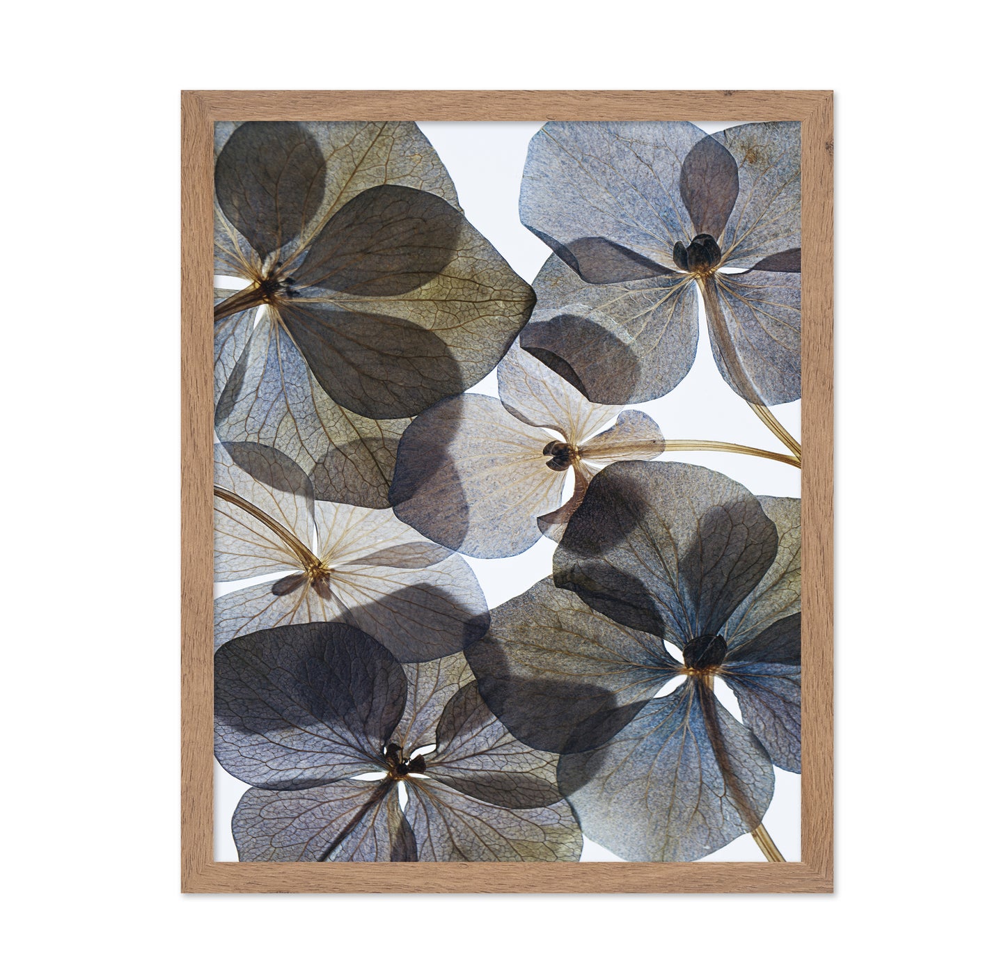 Botanical No 1