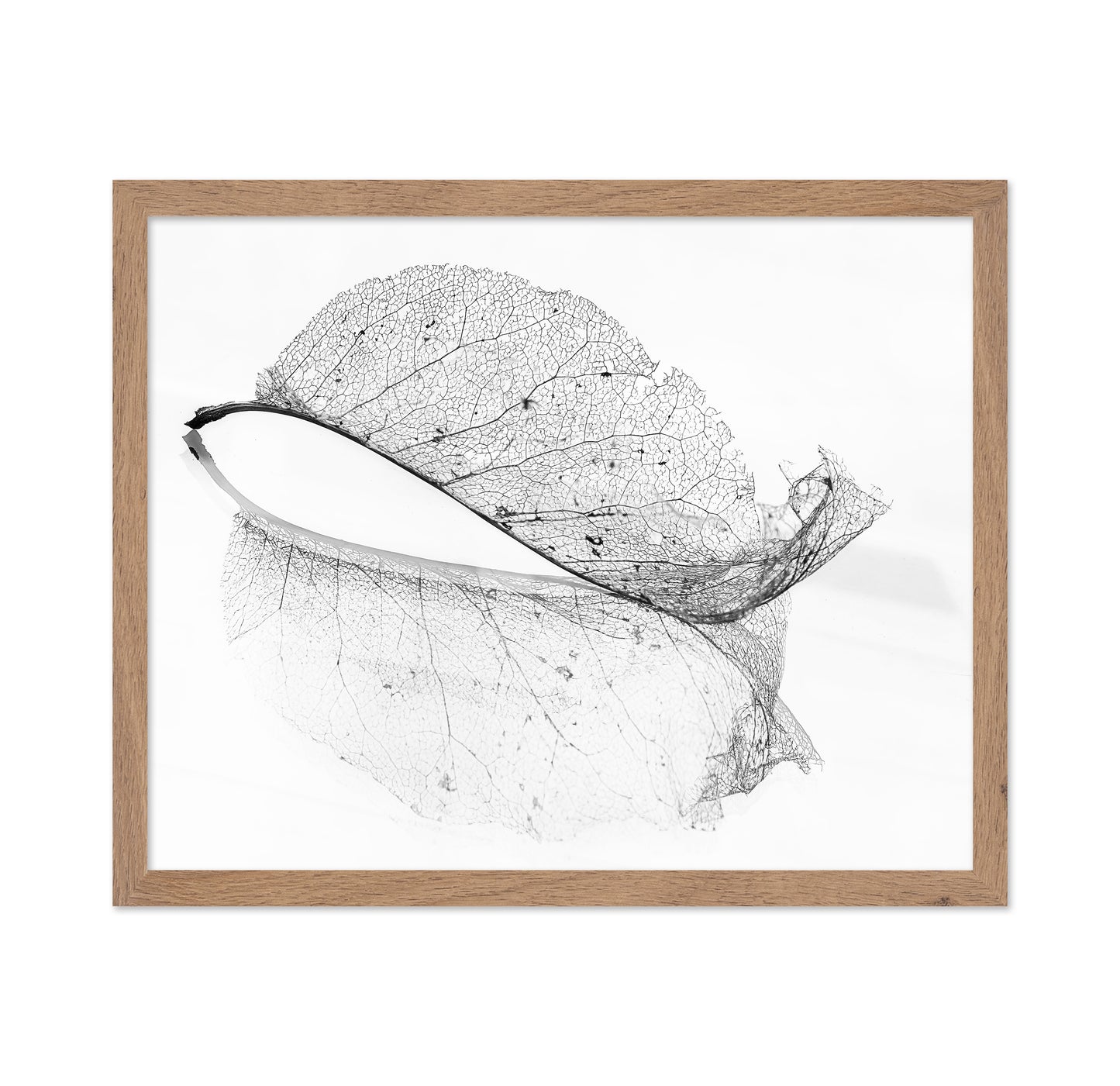 The Old Leaf