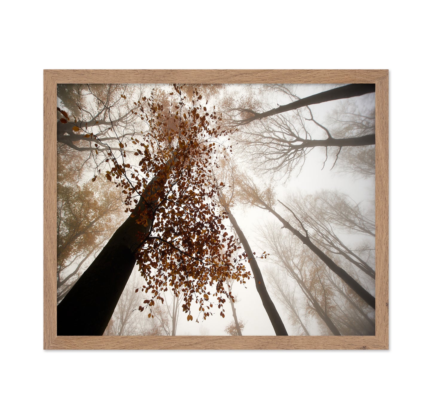 Fall