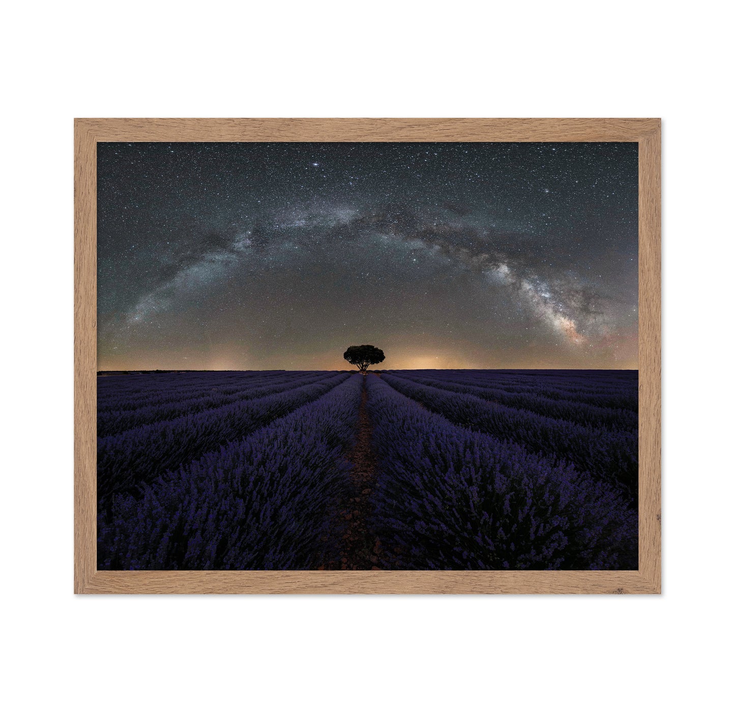 Alone in Lavender Dreams